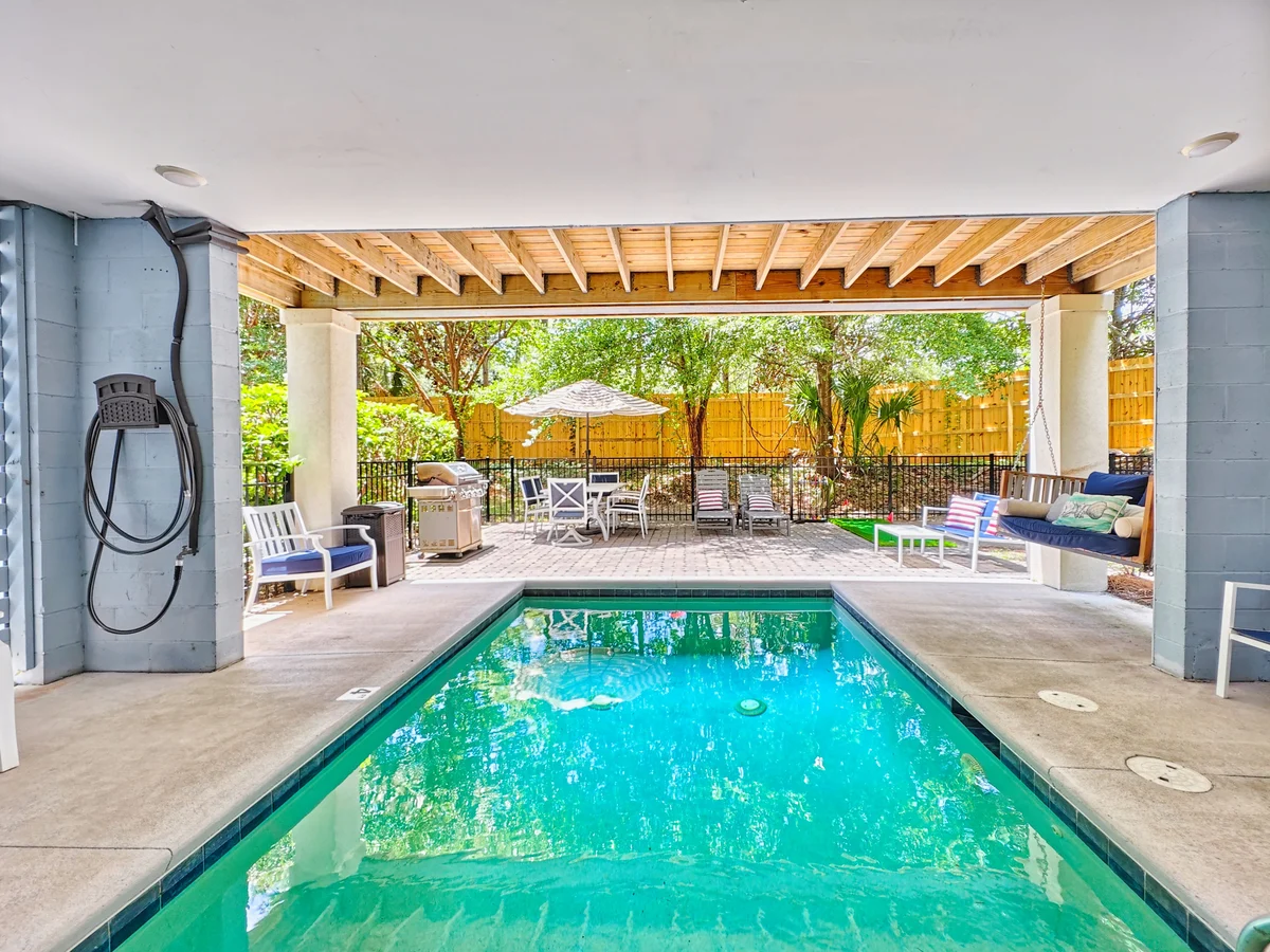 Wander Hilton Head Alligators