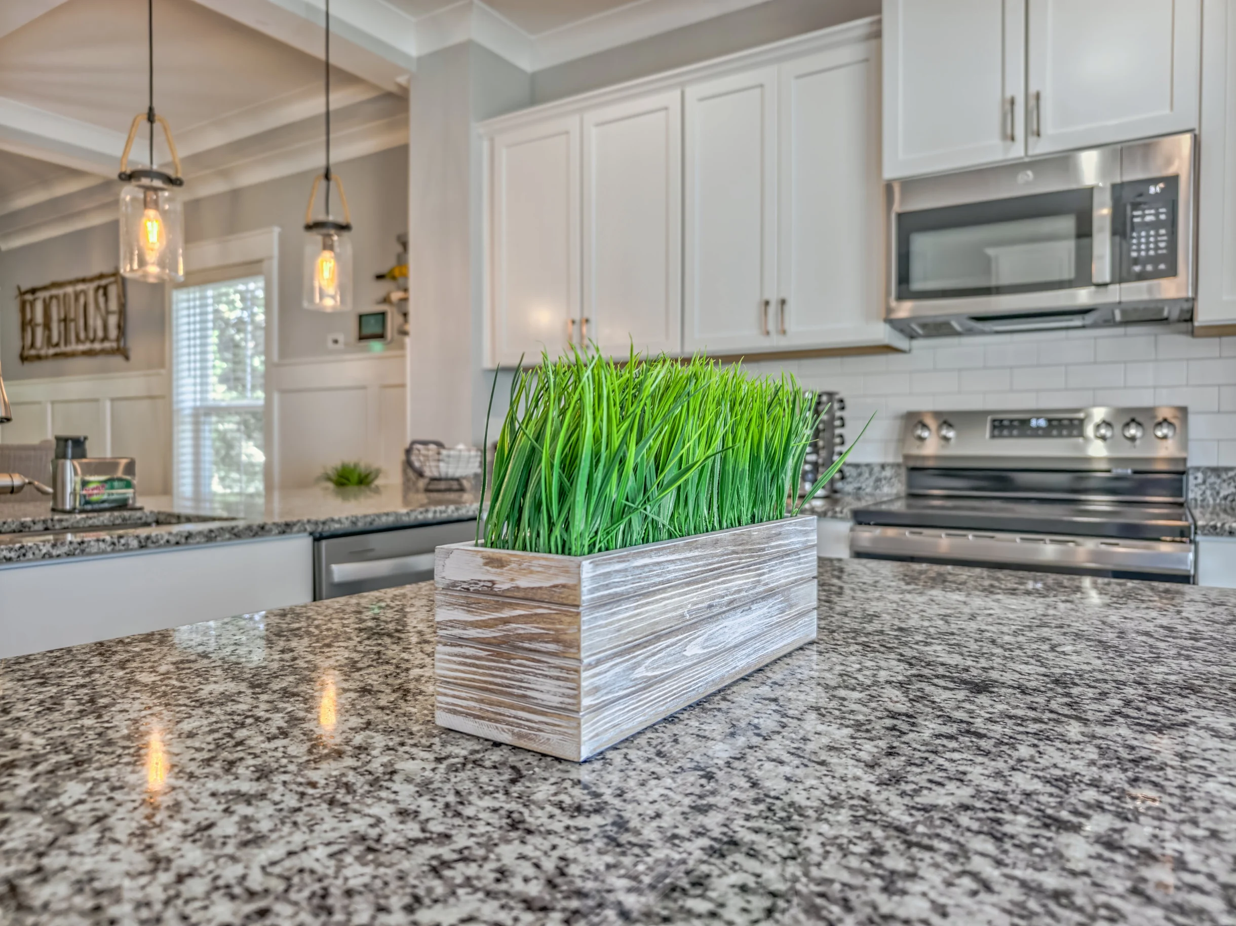 Wander Hilton Head Alligators #77