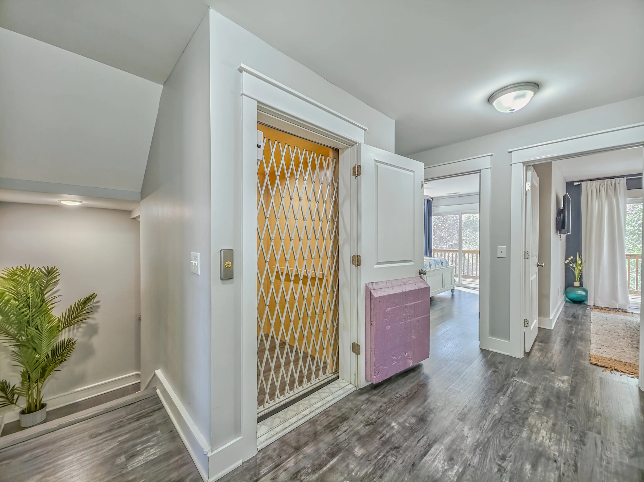 Wander Hilton Head Alligators #79