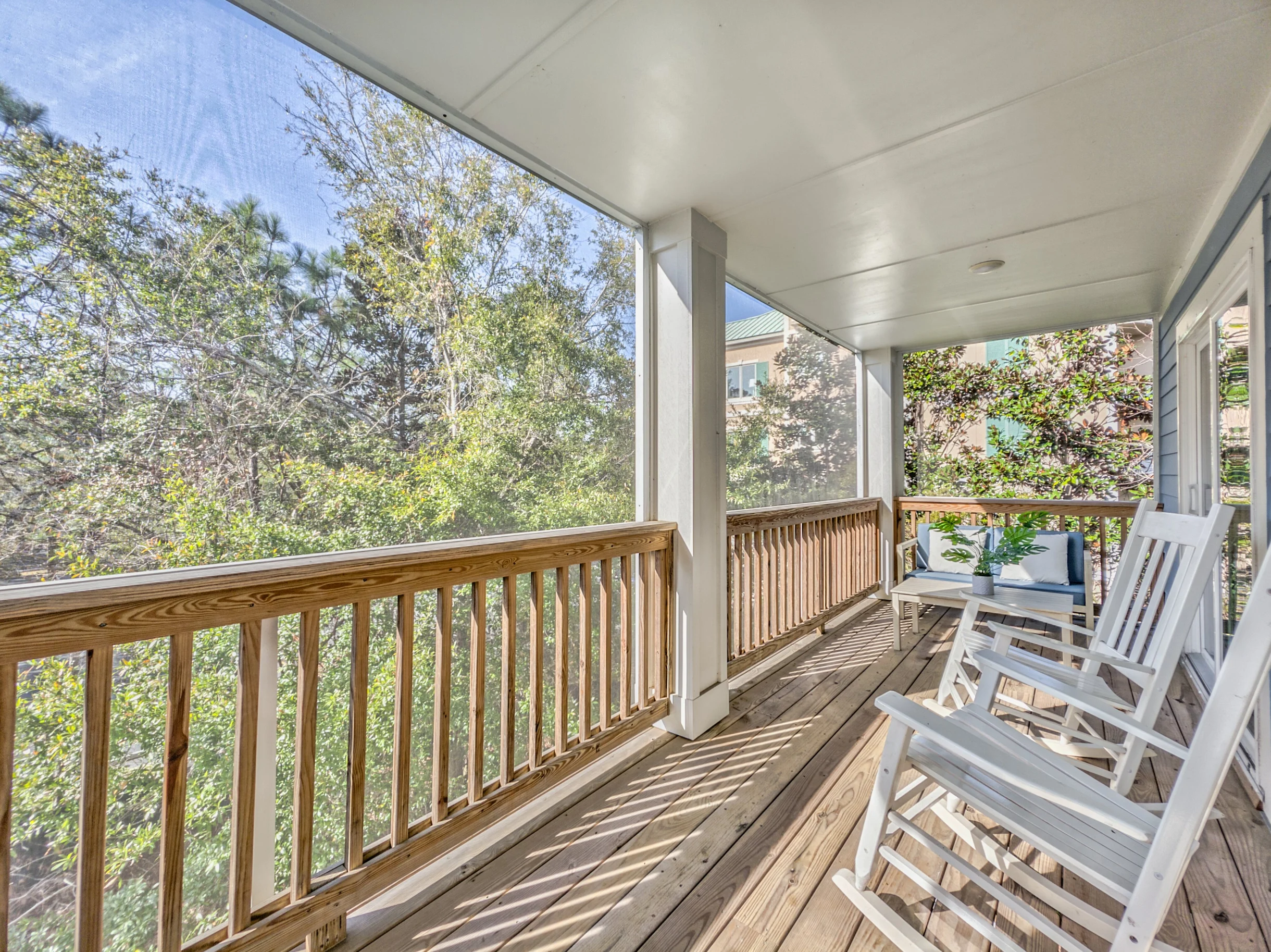 Wander Hilton Head Alligators #25