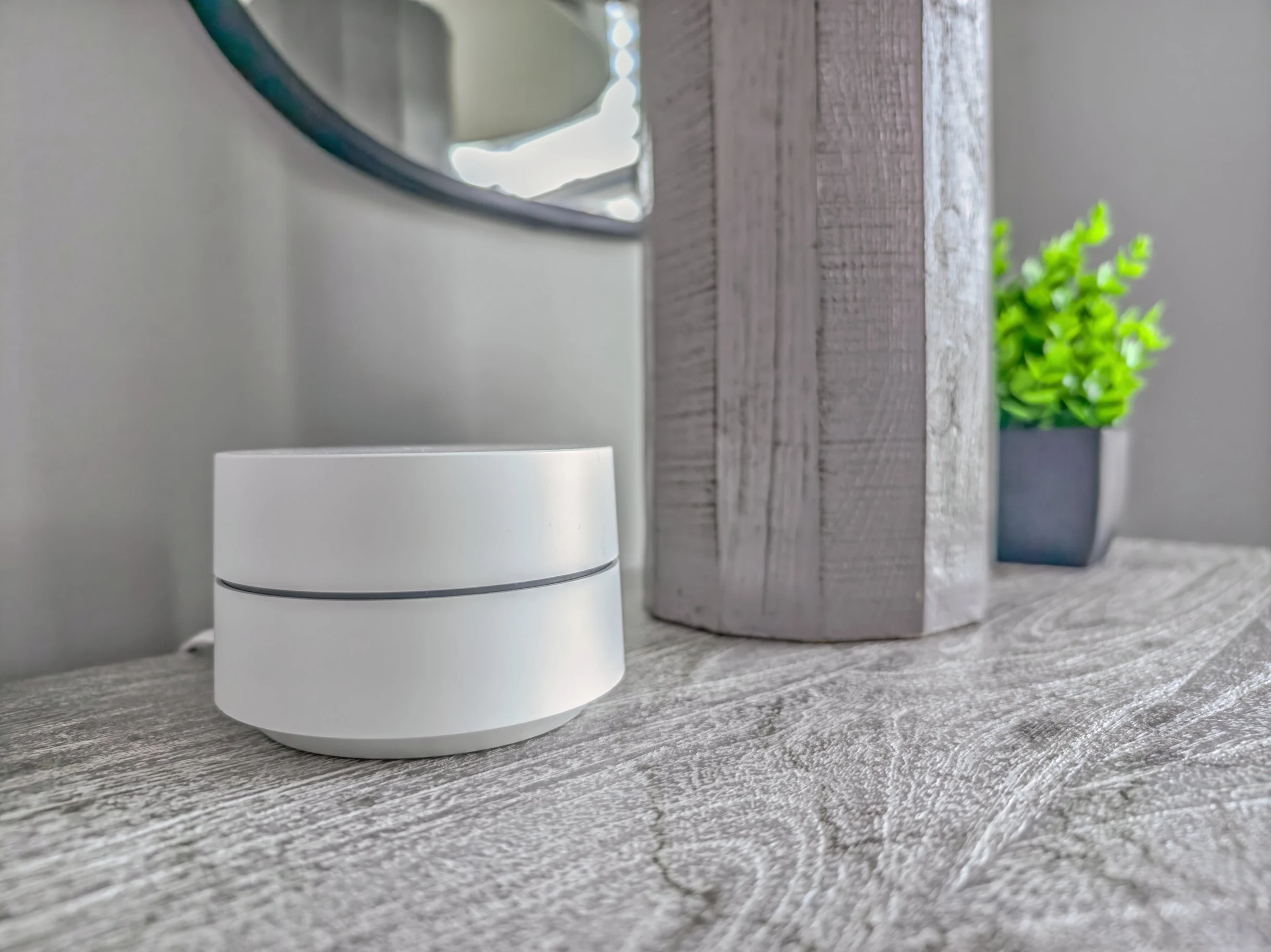 Wander Hilton Head Alligators