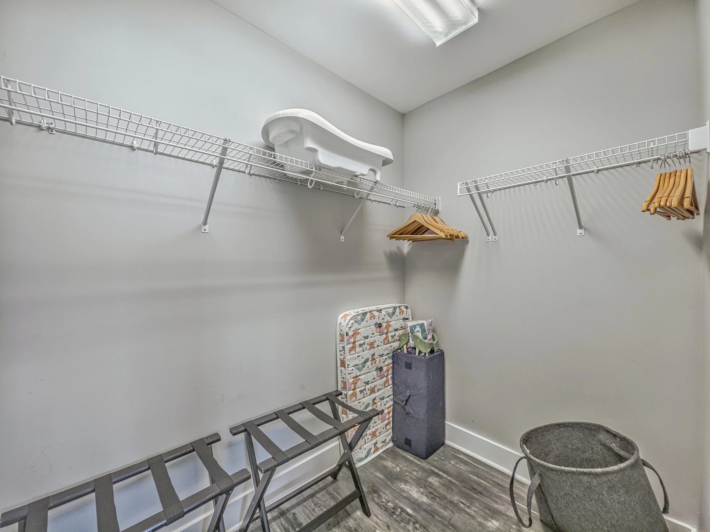 Wander Hilton Head Alligators #94