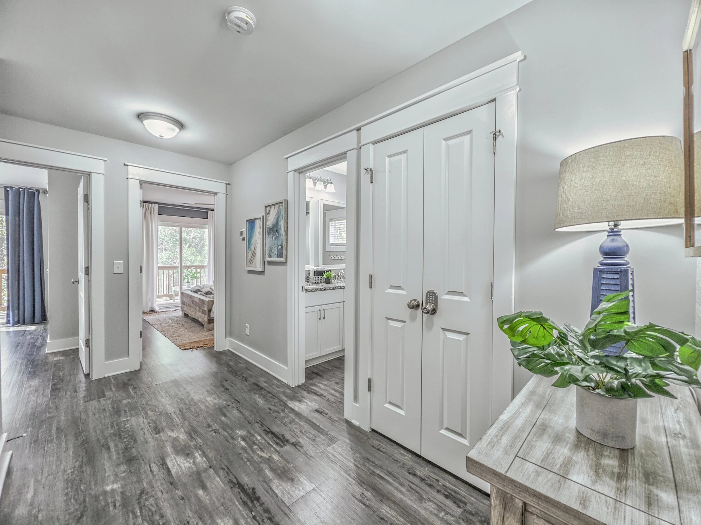 Wander Hilton Head Alligators #98