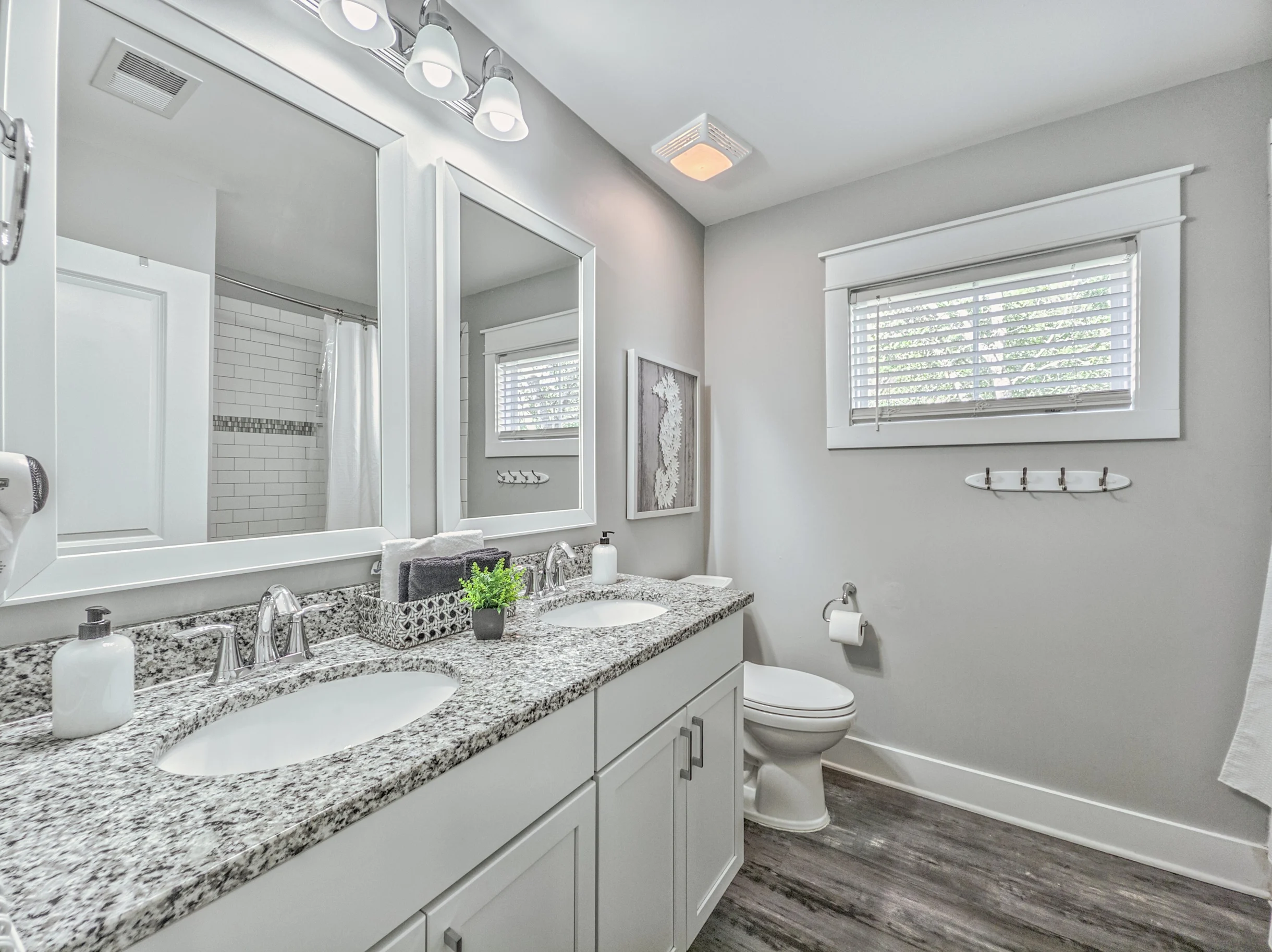 Wander Hilton Head Alligators #27