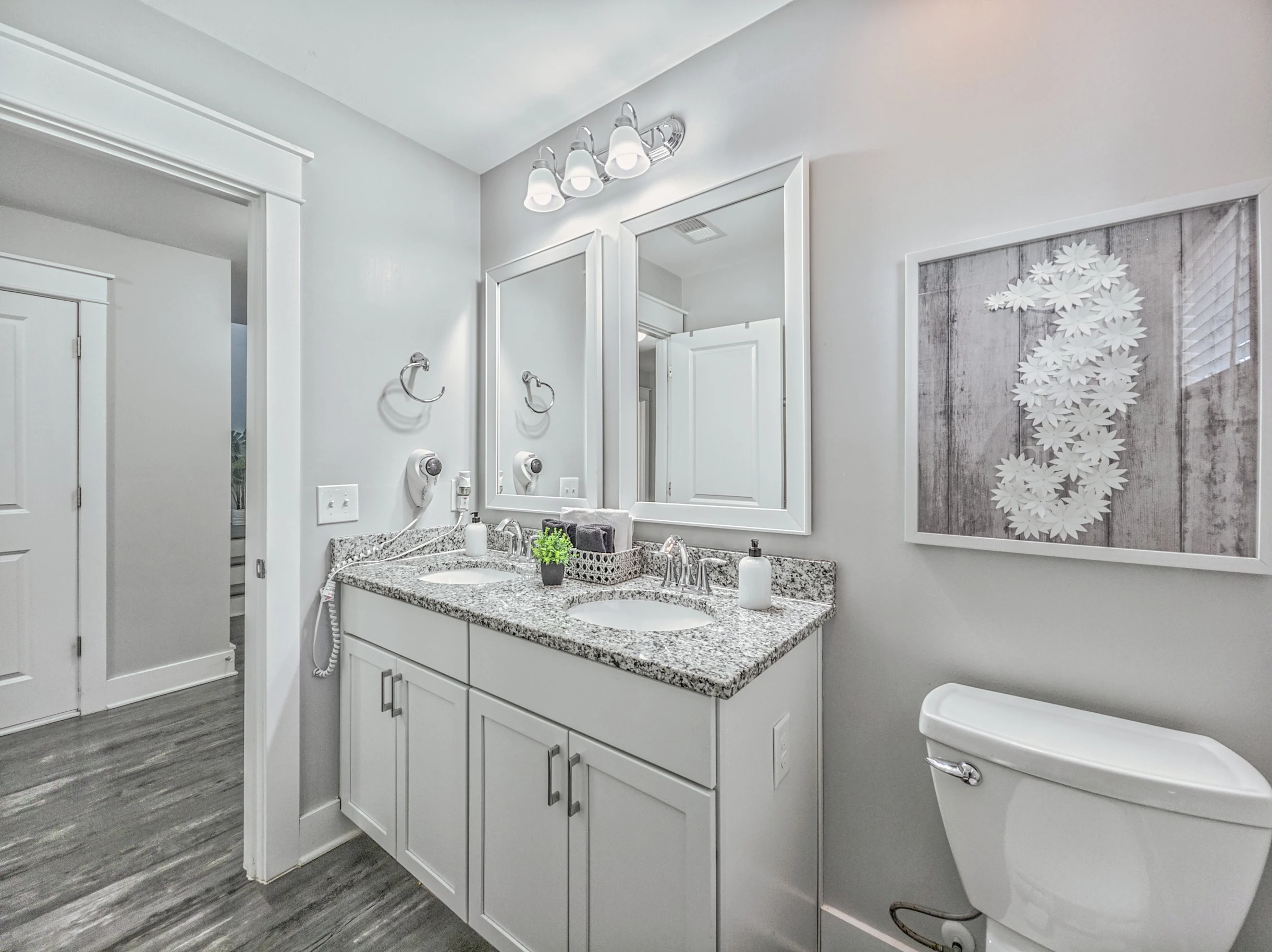 Wander Hilton Head Alligators #55