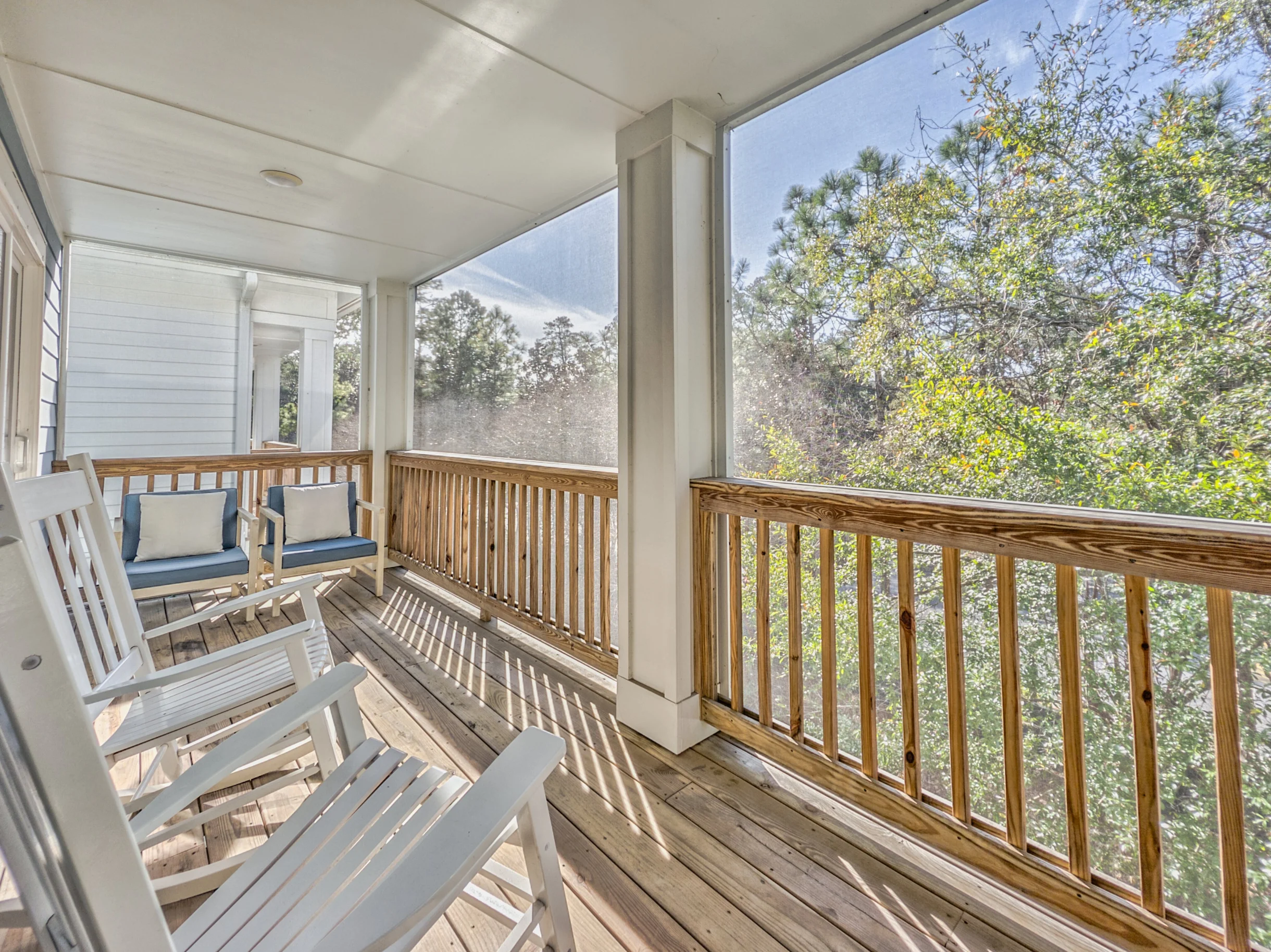 Wander Hilton Head Alligators #97