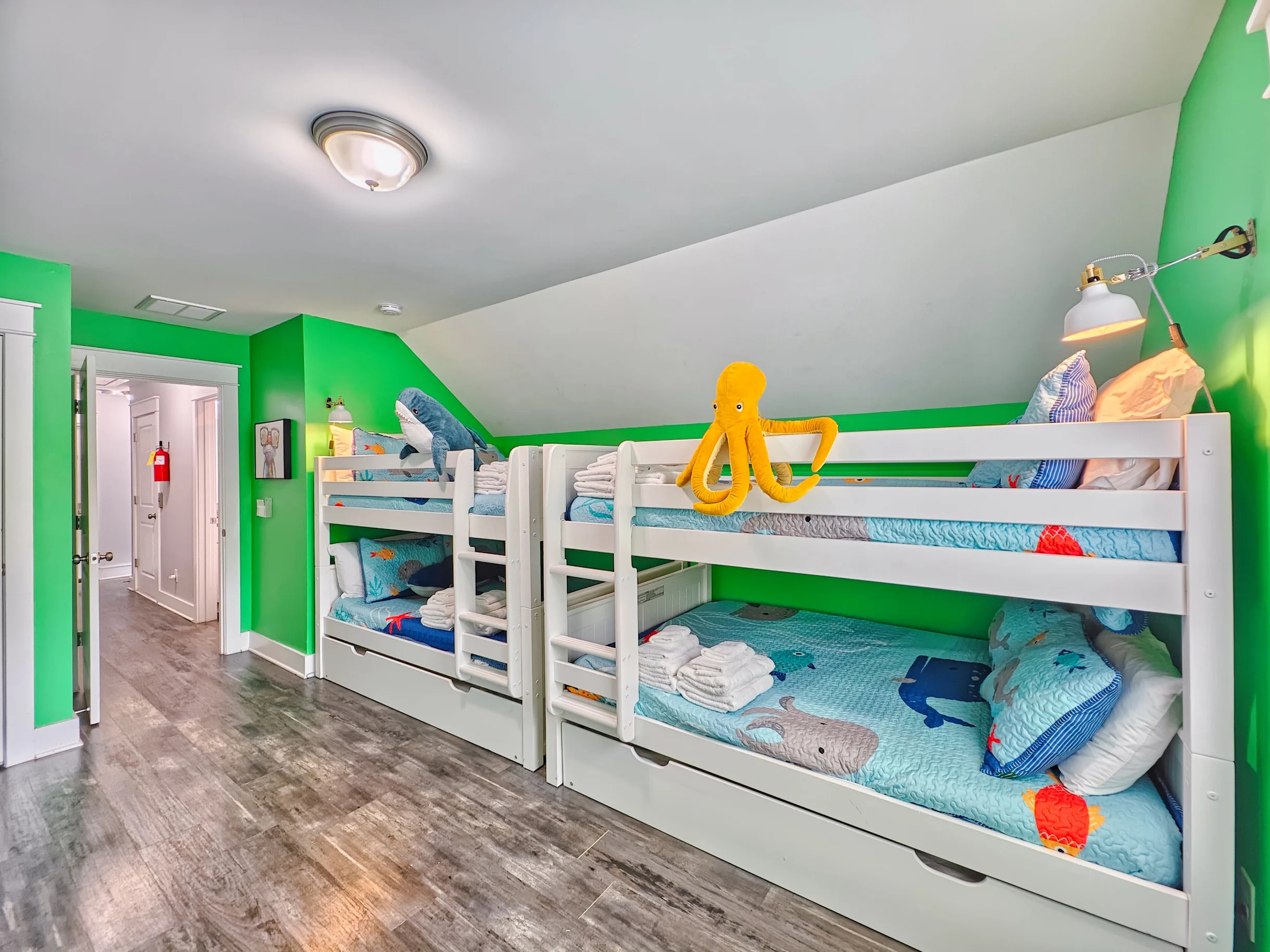 Wander Hilton Head Alligators #50