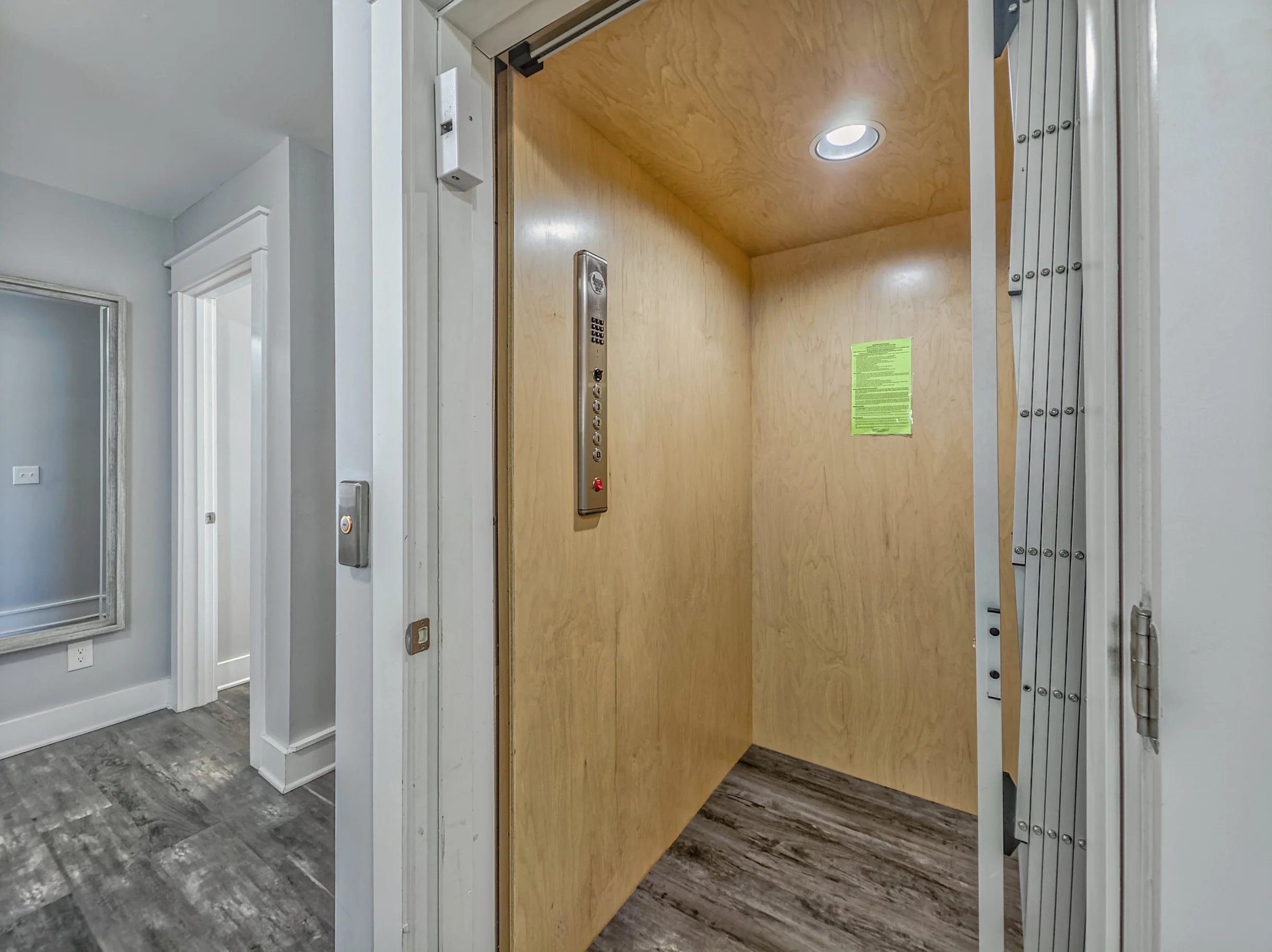 Wander Hilton Head Alligators #52