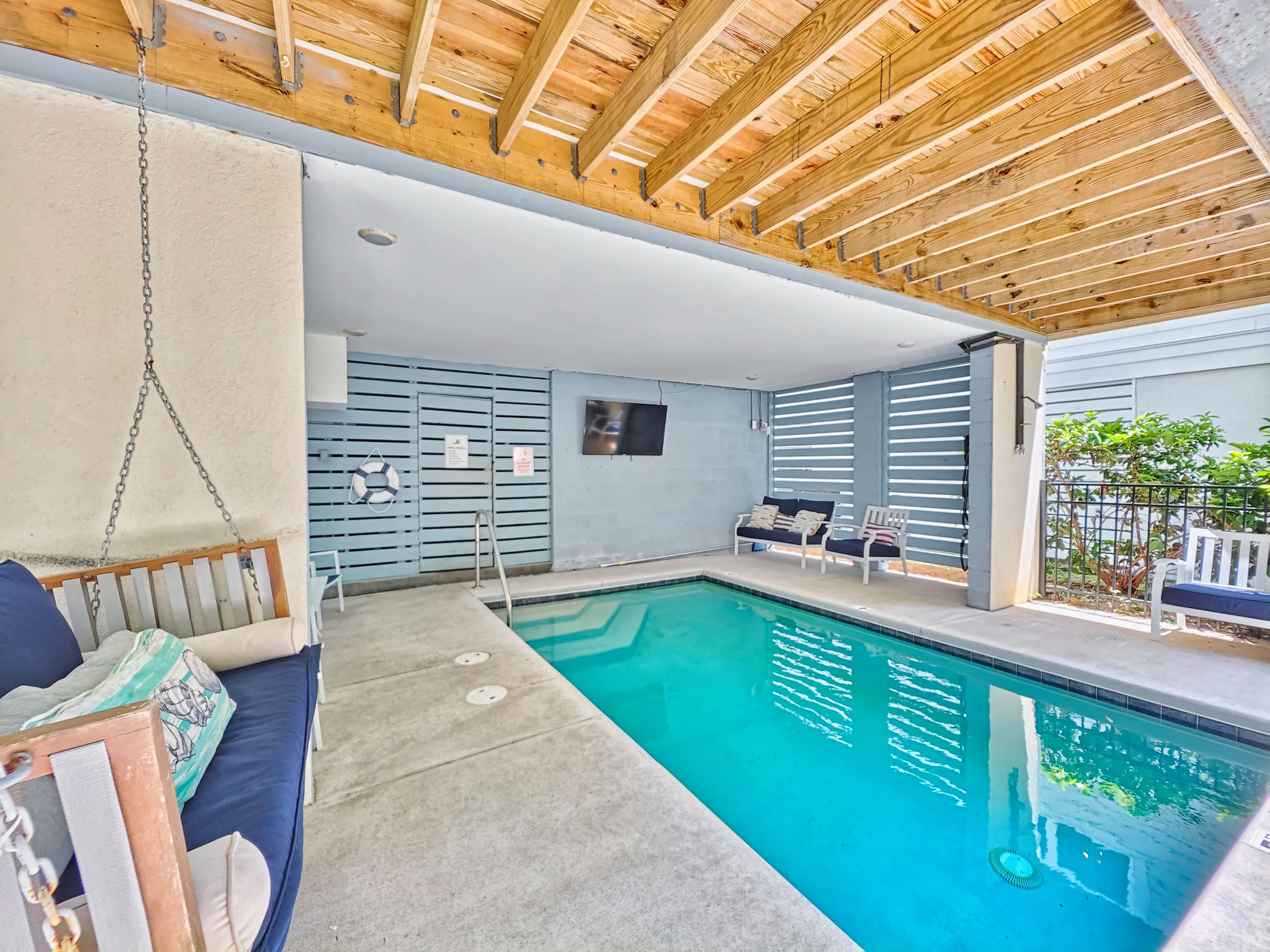 Wander Hilton Head Alligators #34