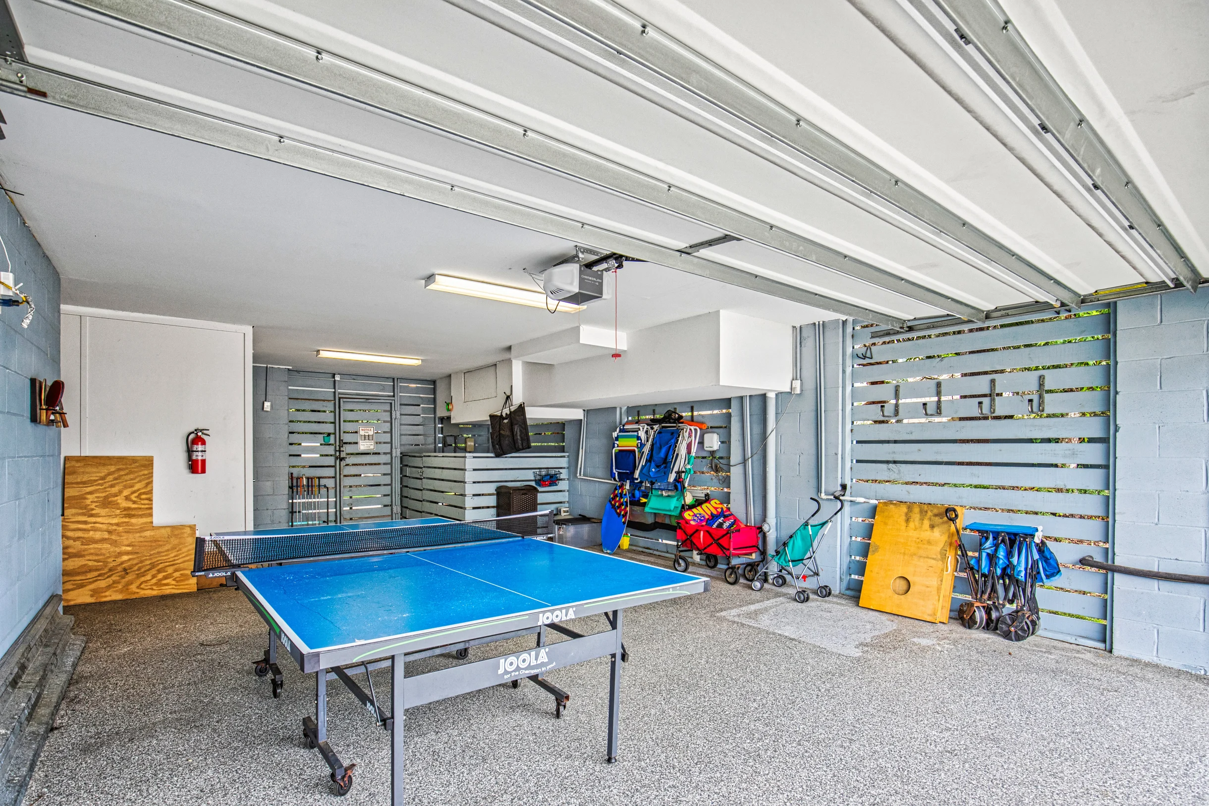 Wander Hilton Head Alligators #53