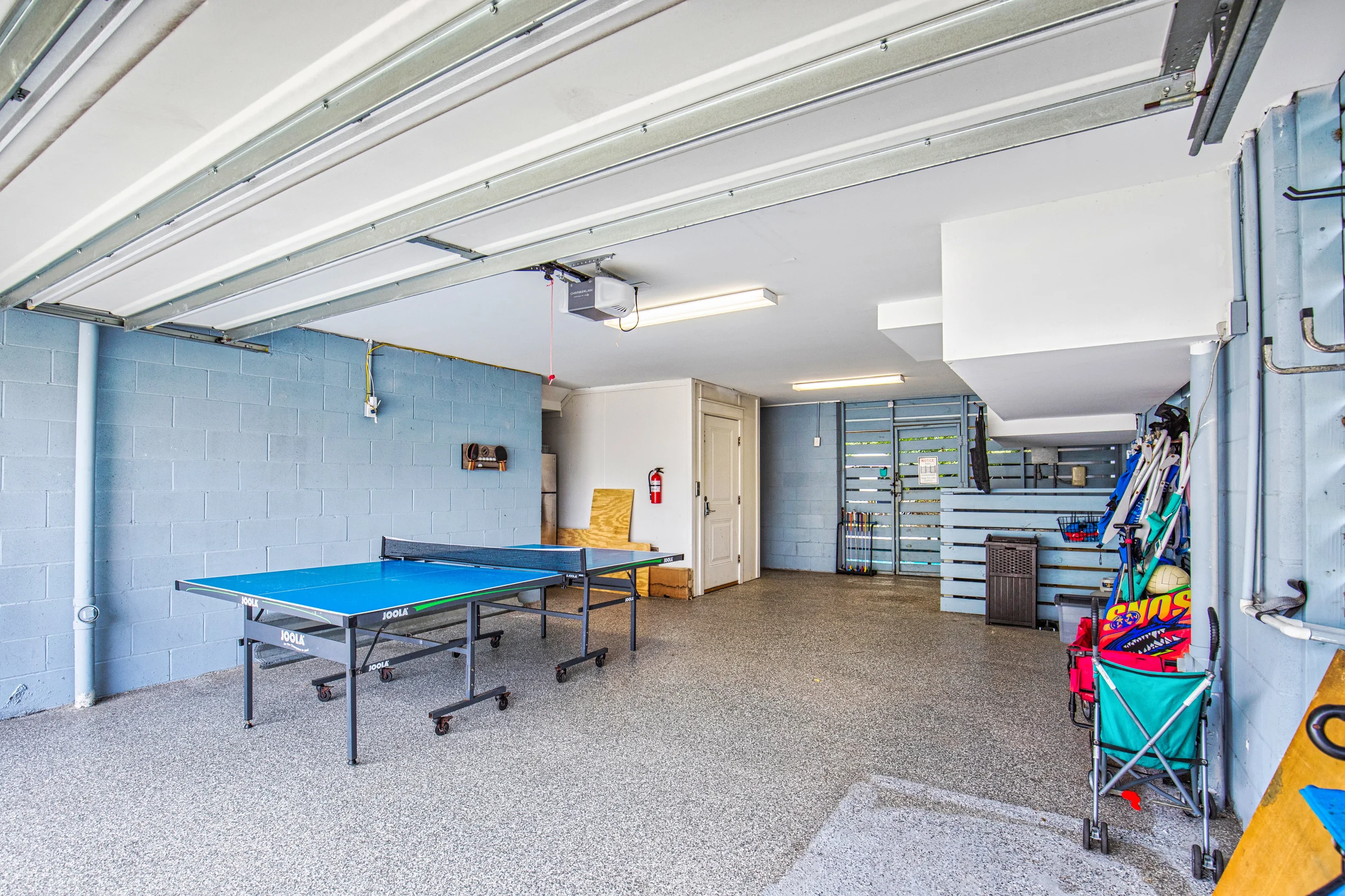 Wander Hilton Head Alligators #33