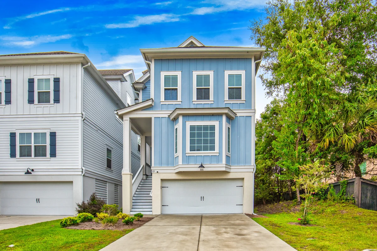 Wander Hilton Head Alligators