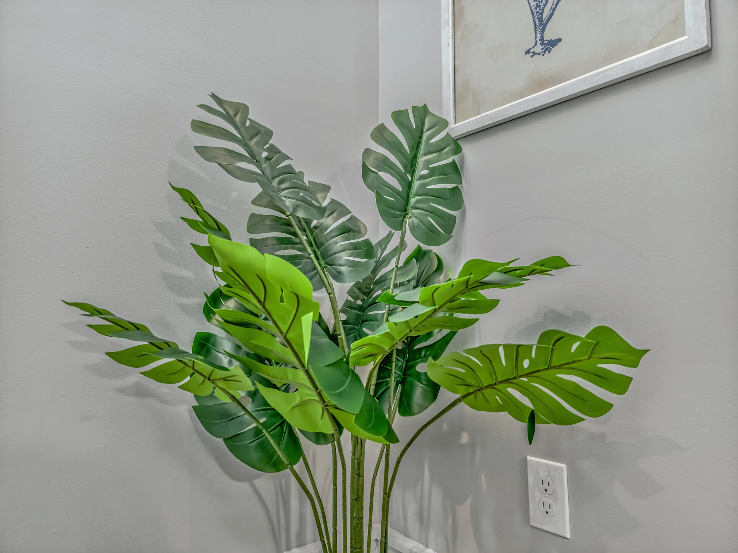 Wander Hilton Head Alligators #118