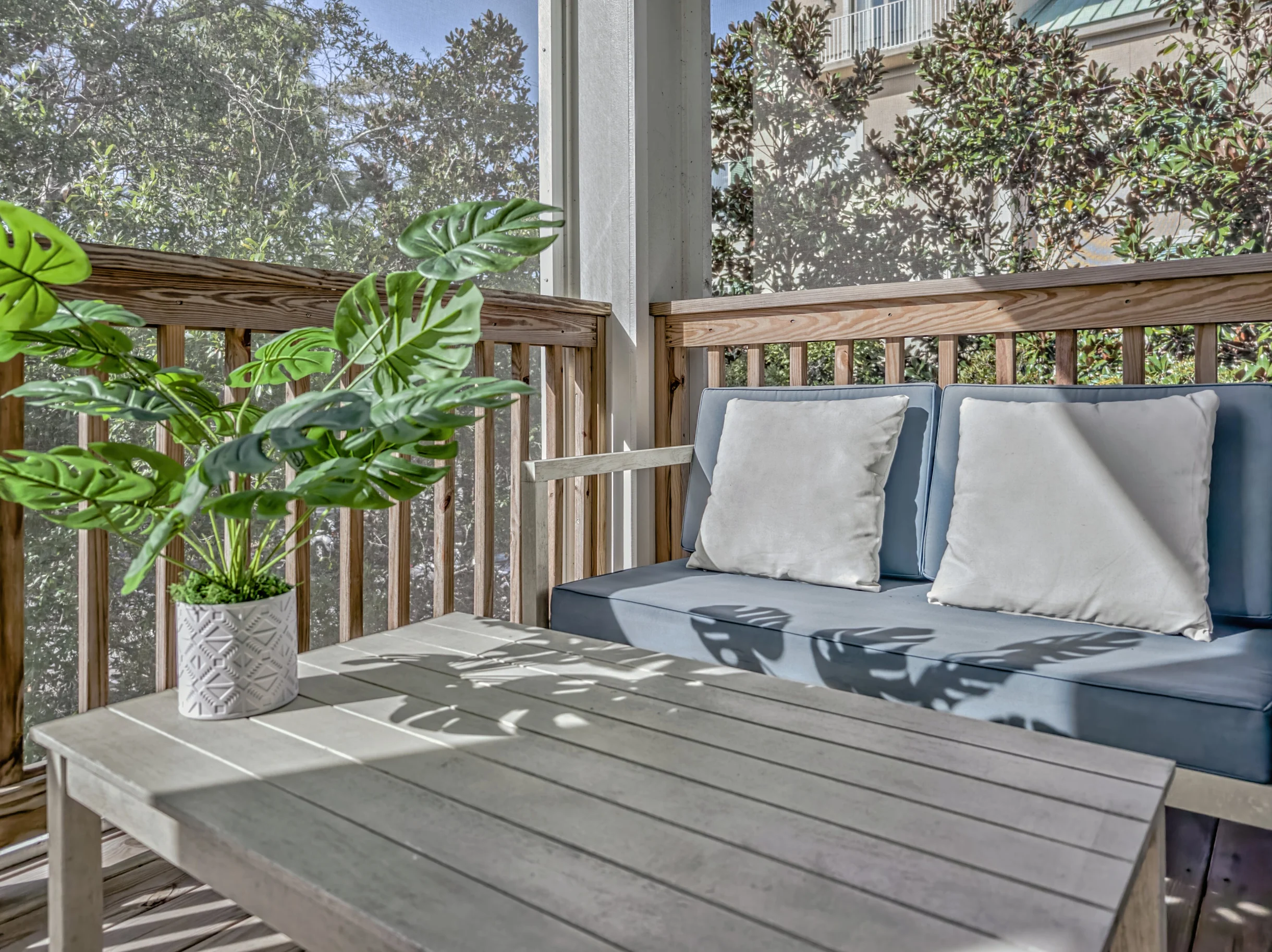 Wander Hilton Head Alligators #92