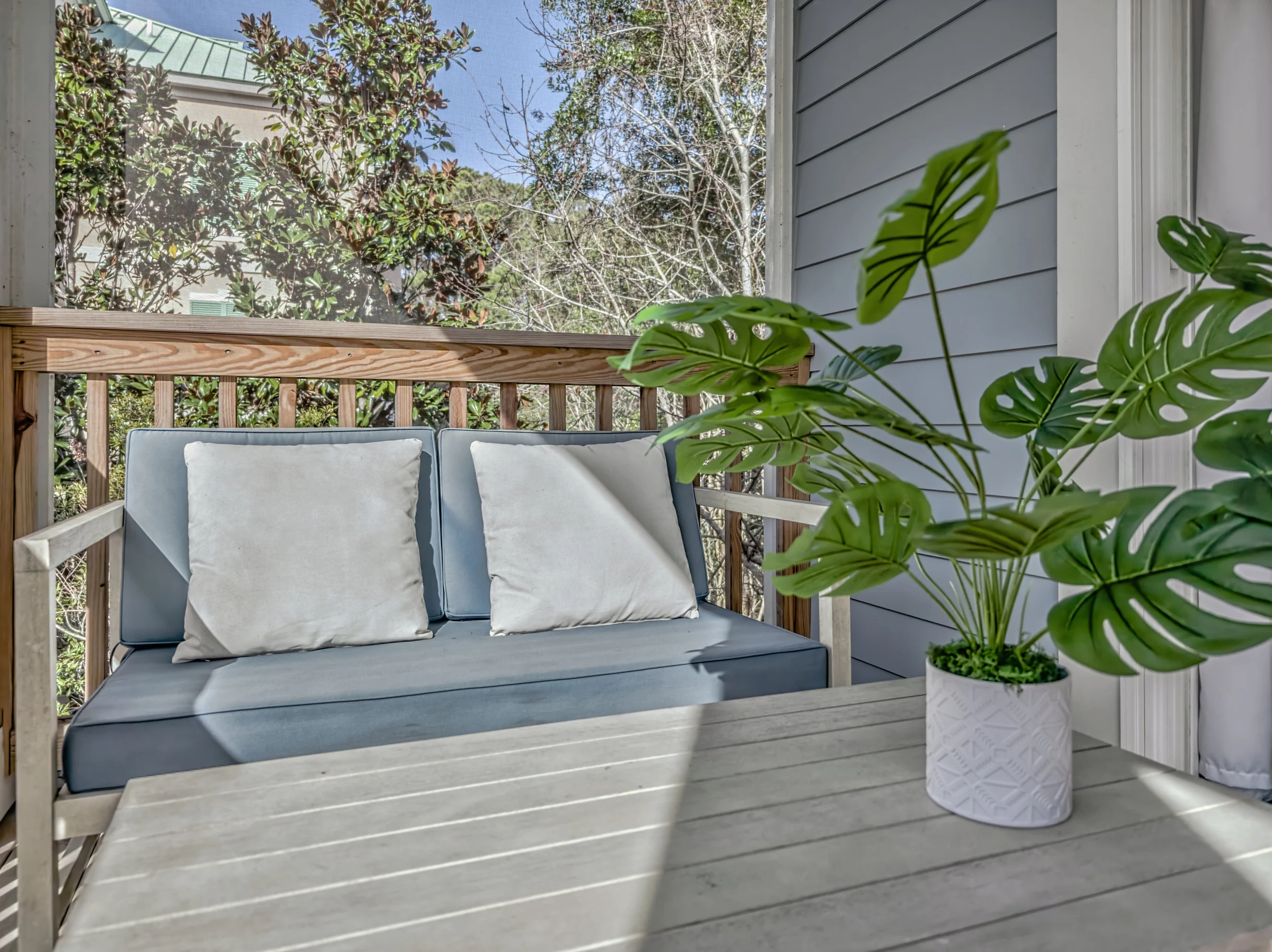 Wander Hilton Head Alligators #71