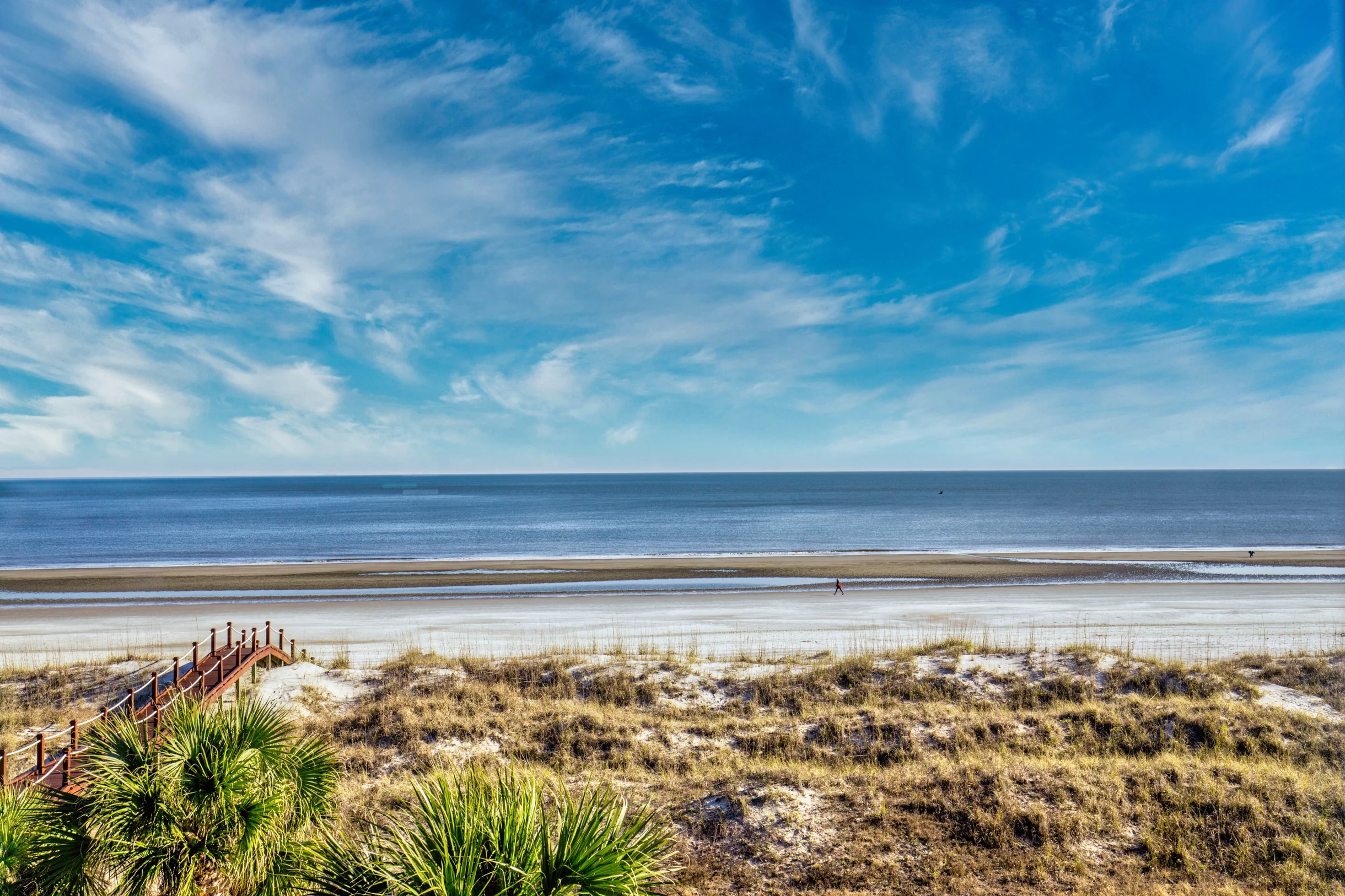Wander Forest Beach Sands #78