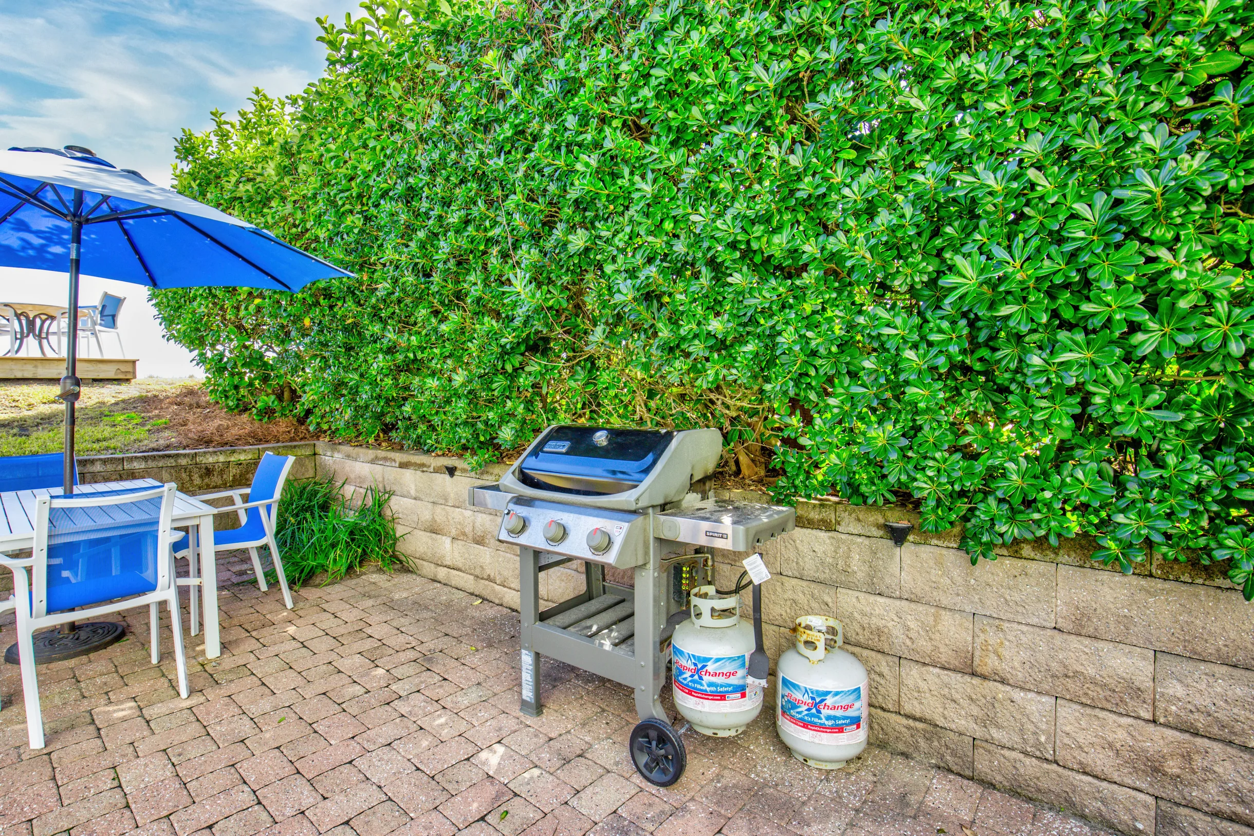 Wander Forest Beach Sands #46