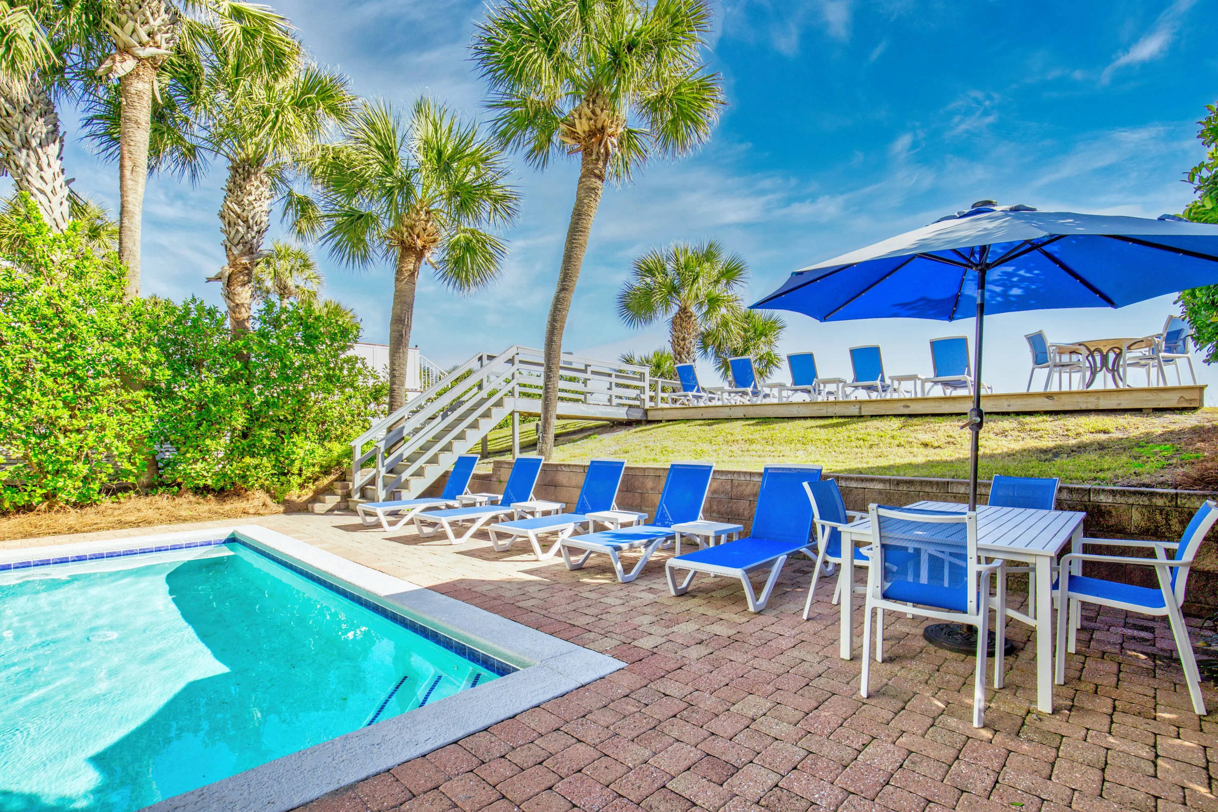 Wander Forest Beach Sands #45