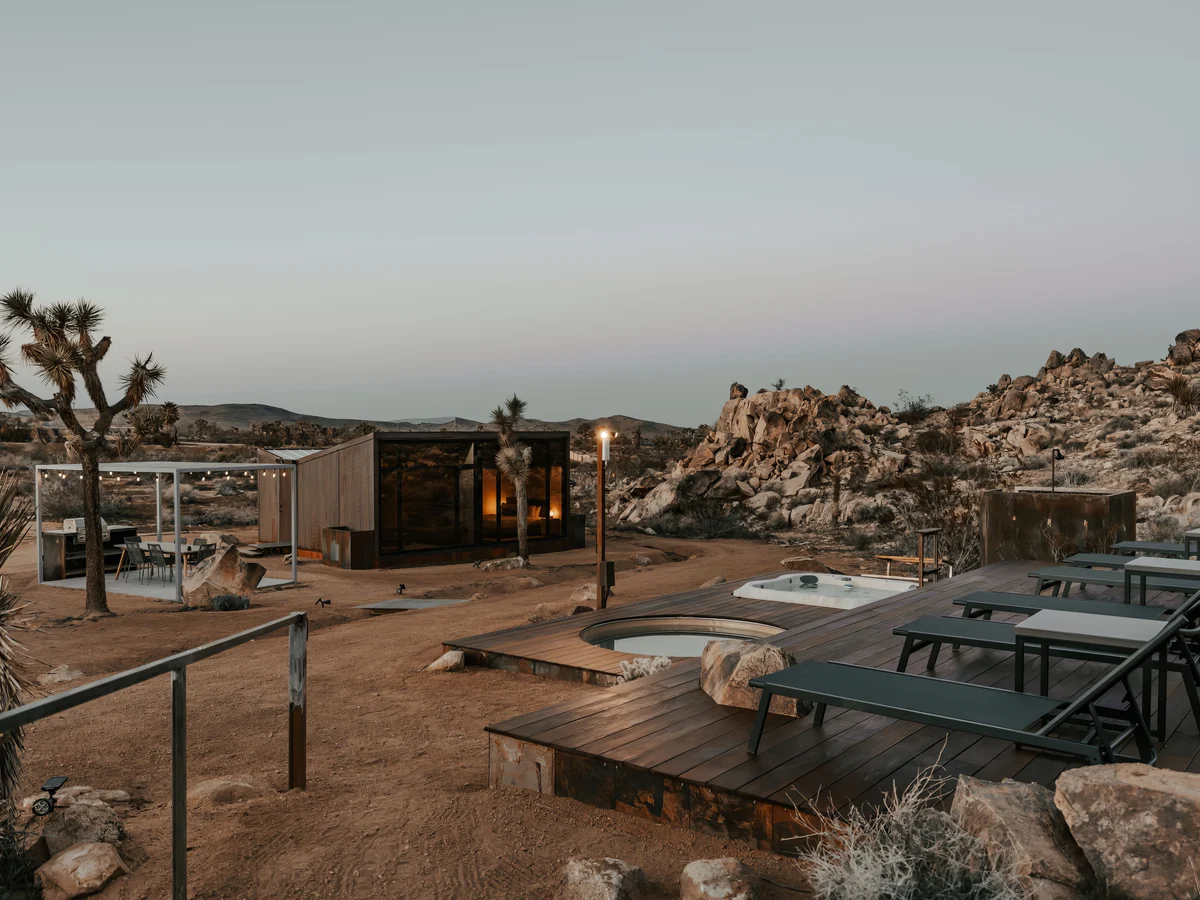 Wander Joshua Tree Acacia