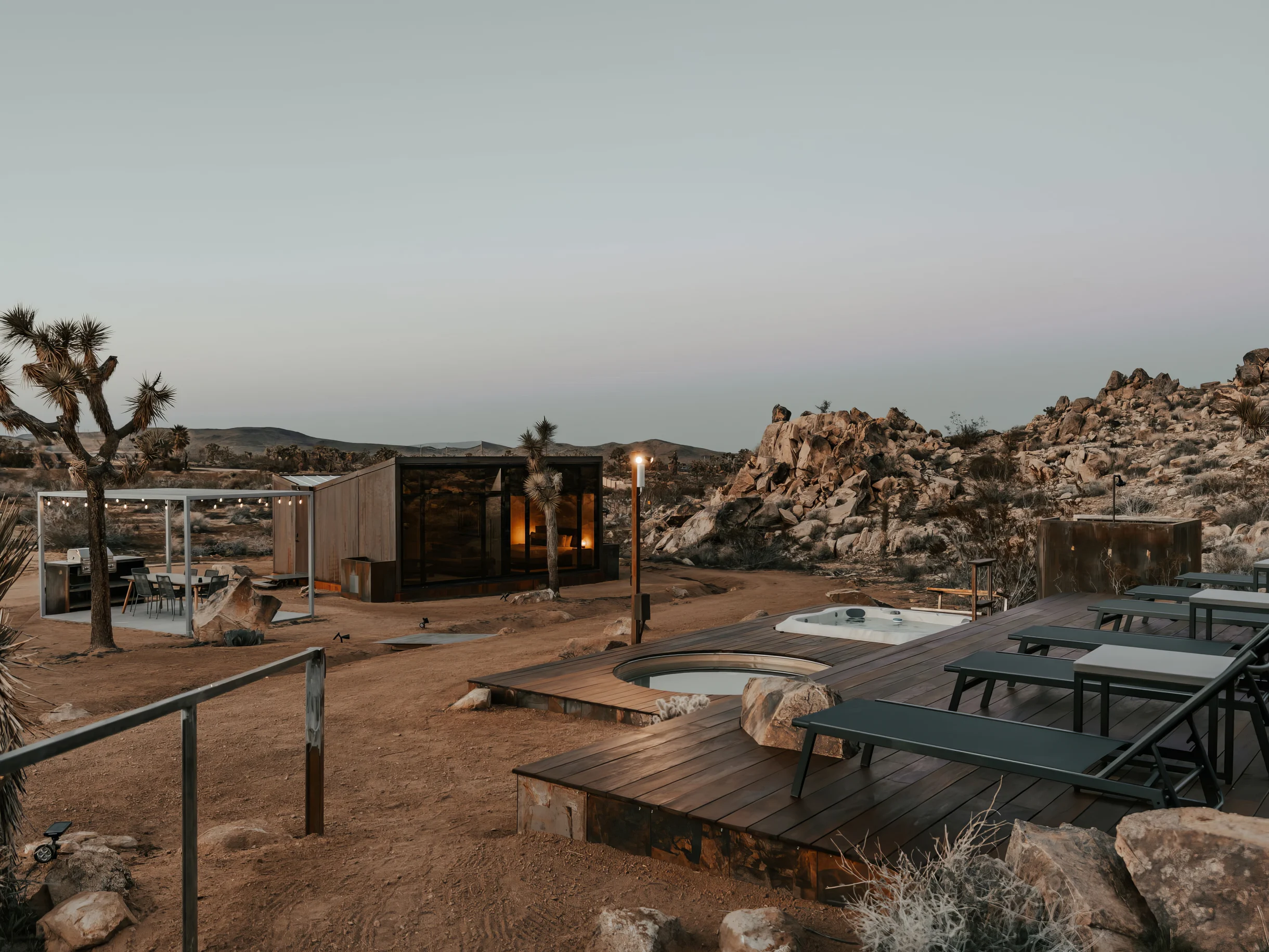 Wander Joshua Tree Acacia #2