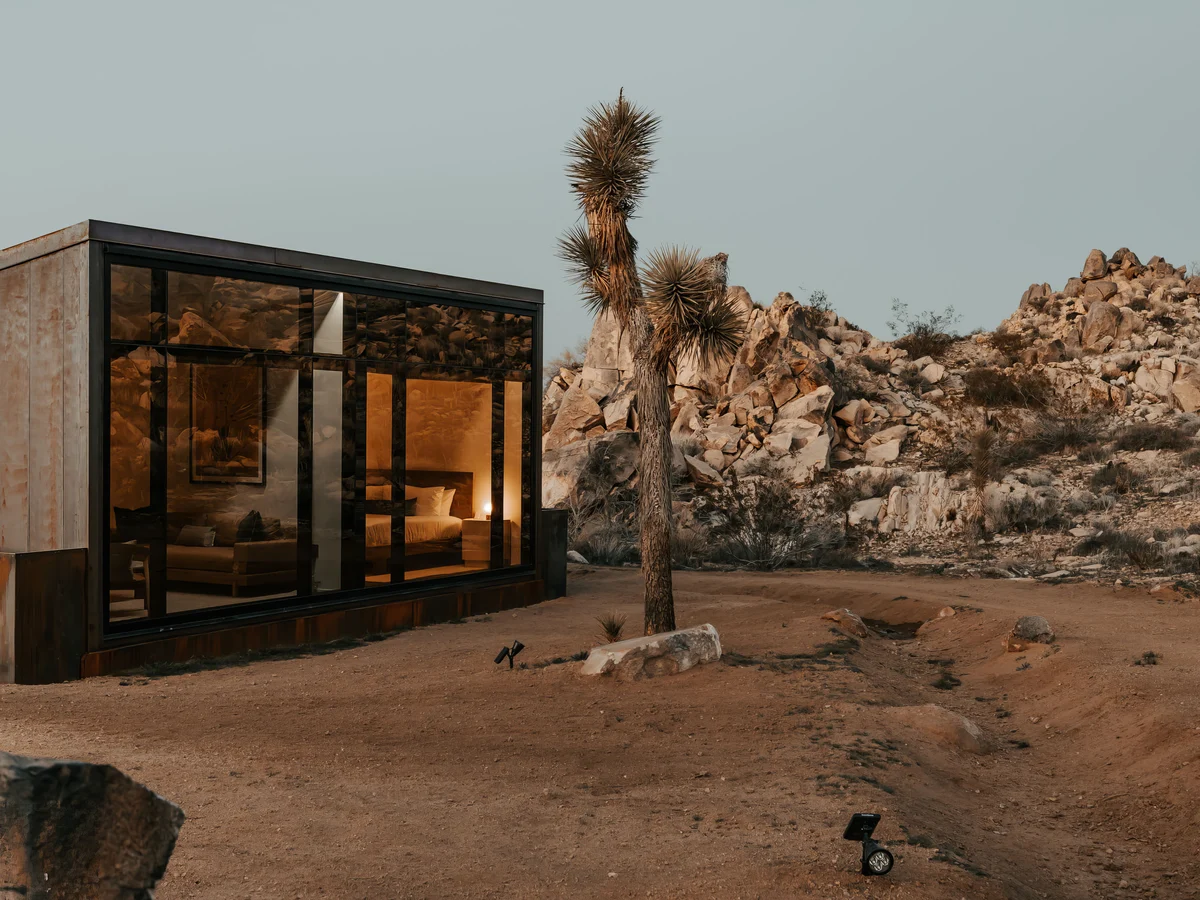 Wander Joshua Tree Acacia