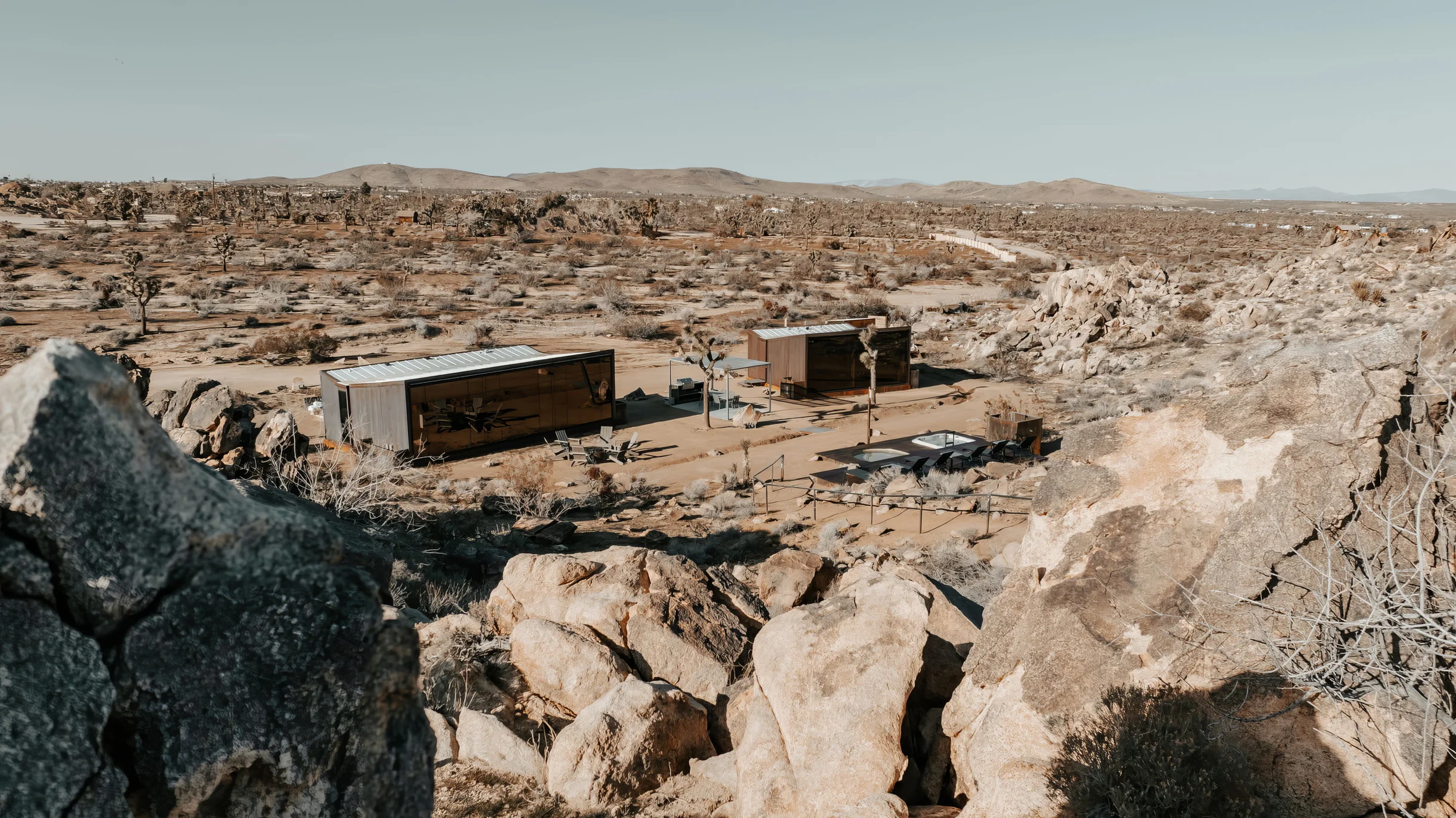 Wander Joshua Tree Acacia #41