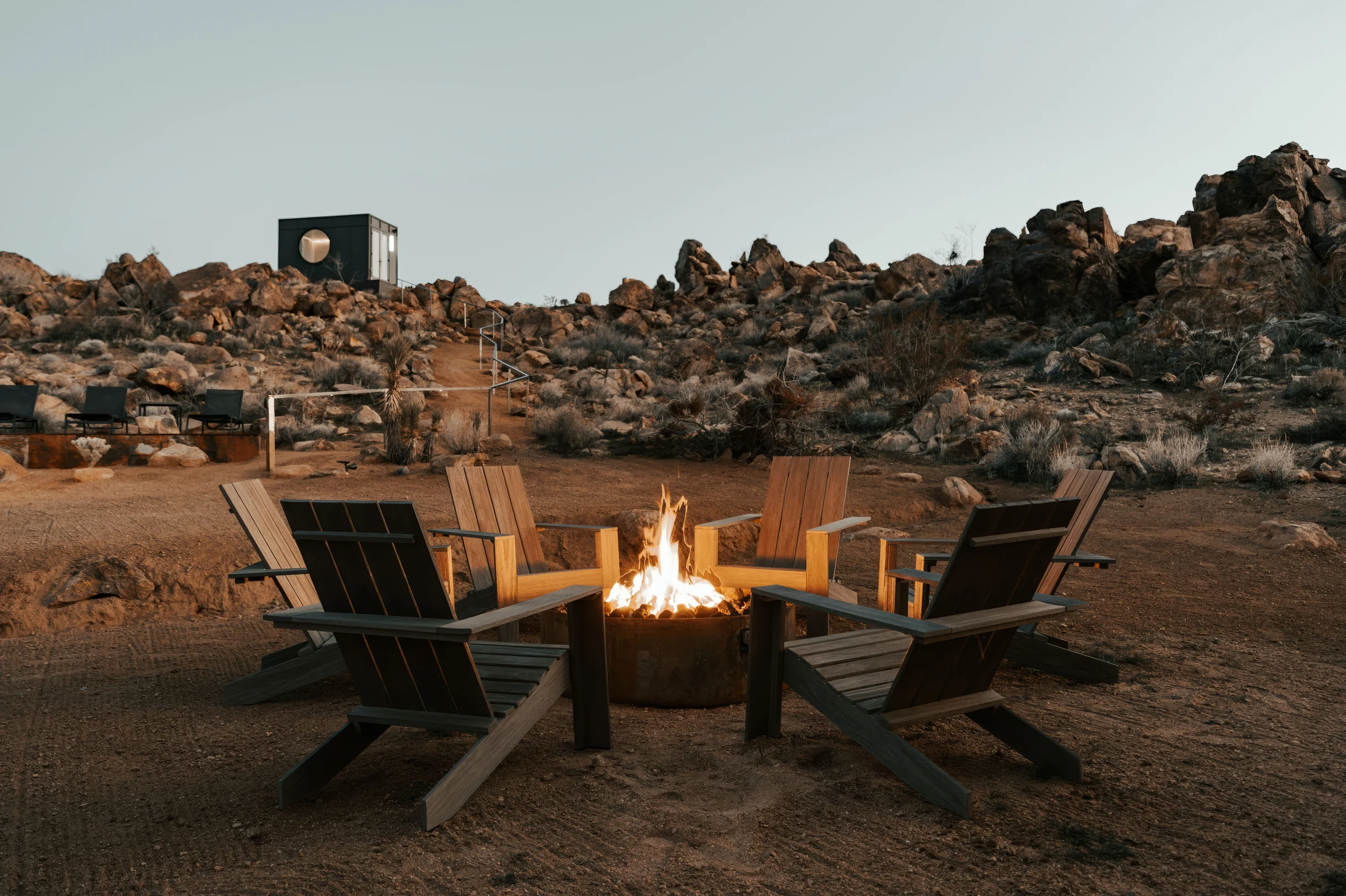 Wander Joshua Tree Acacia #33