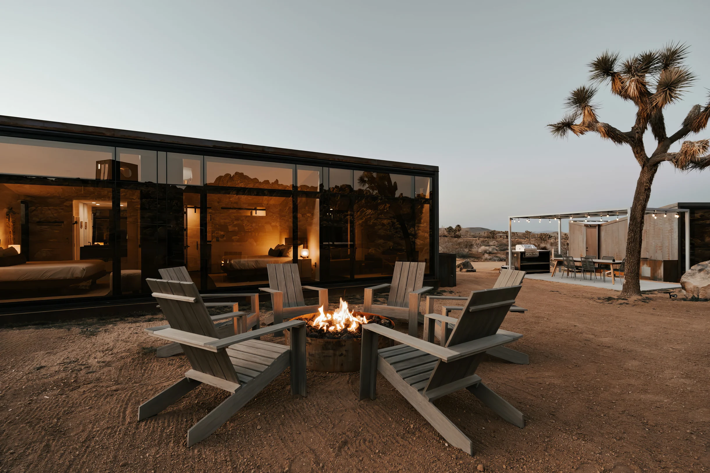 Wander Joshua Tree Acacia #23