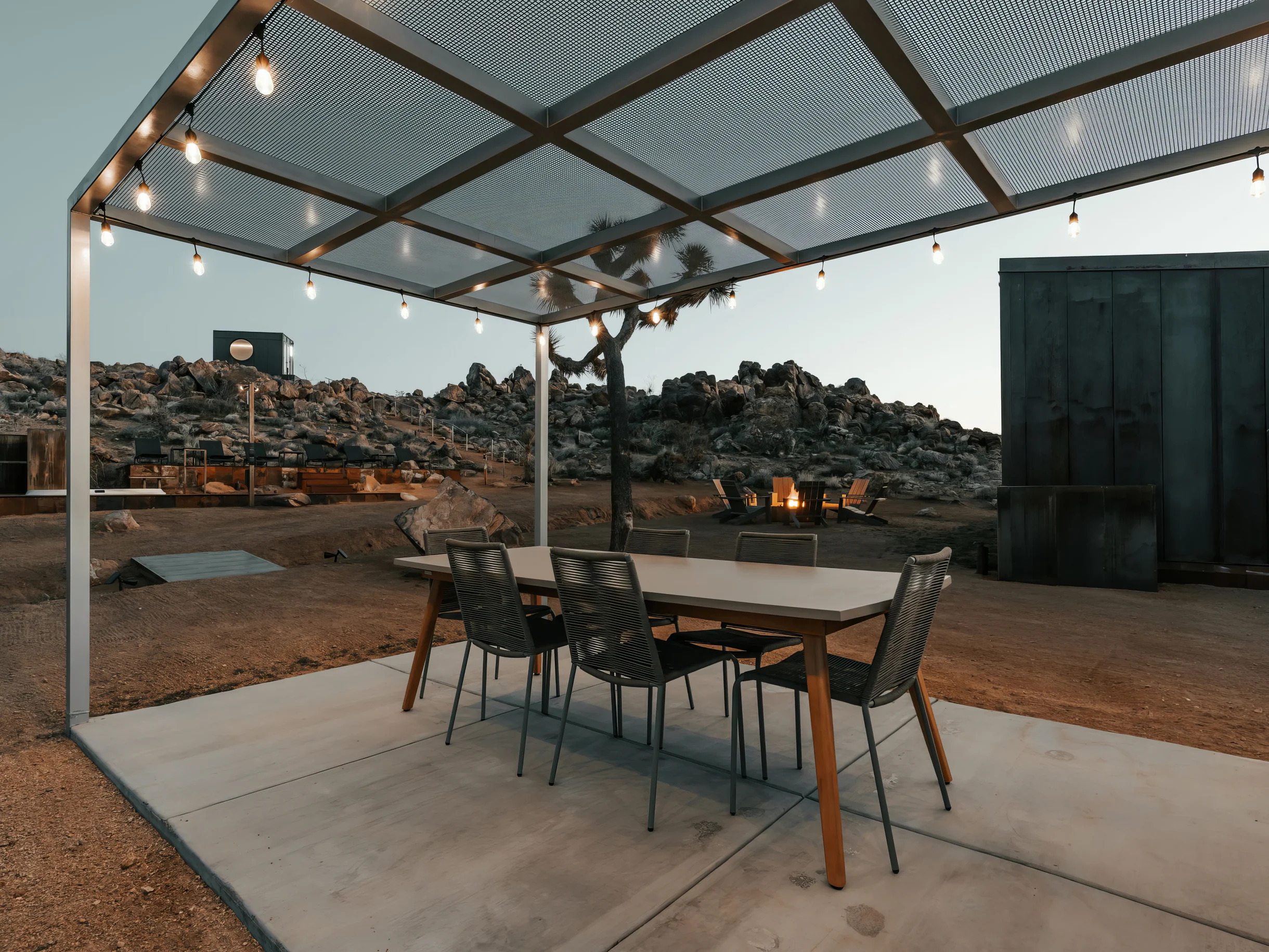 Wander Joshua Tree Acacia #42