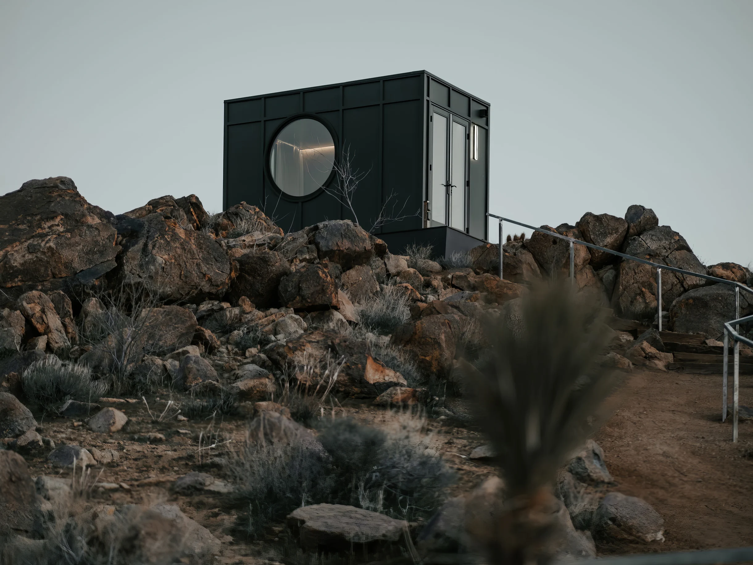 Wander Joshua Tree Acacia #48