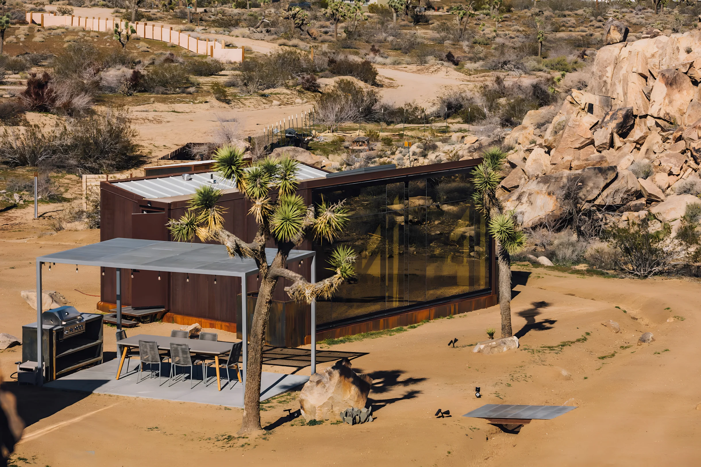 Wander Joshua Tree Acacia #43