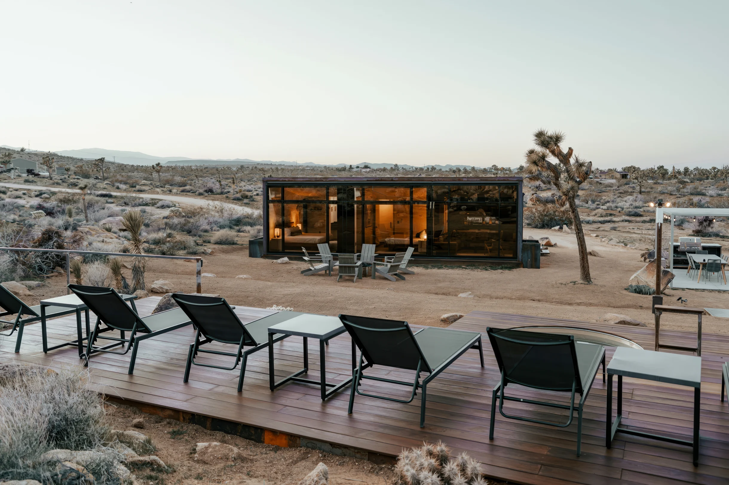 Wander Joshua Tree Acacia #5