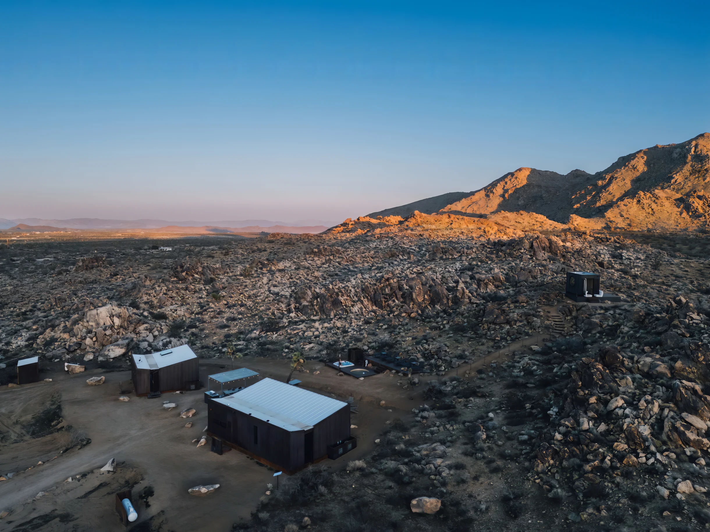 Wander Joshua Tree Acacia #45