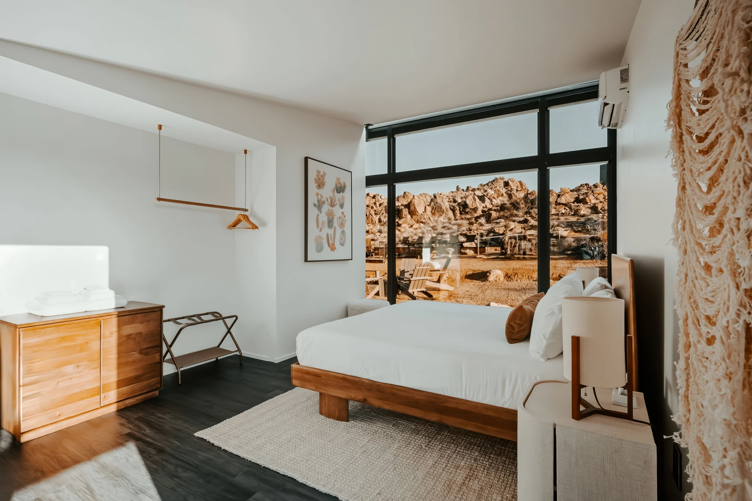 Wander Joshua Tree Acacia #38