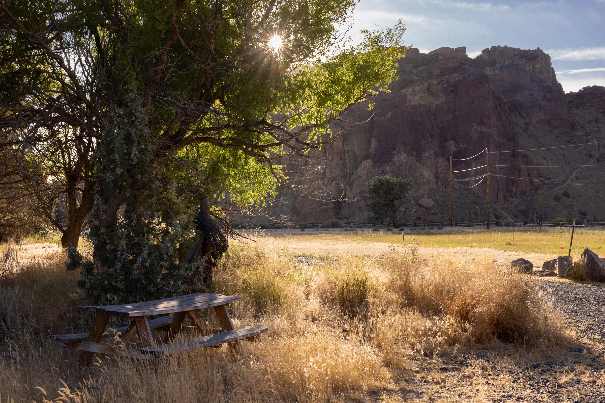 Wander Terrebonne Stars #32