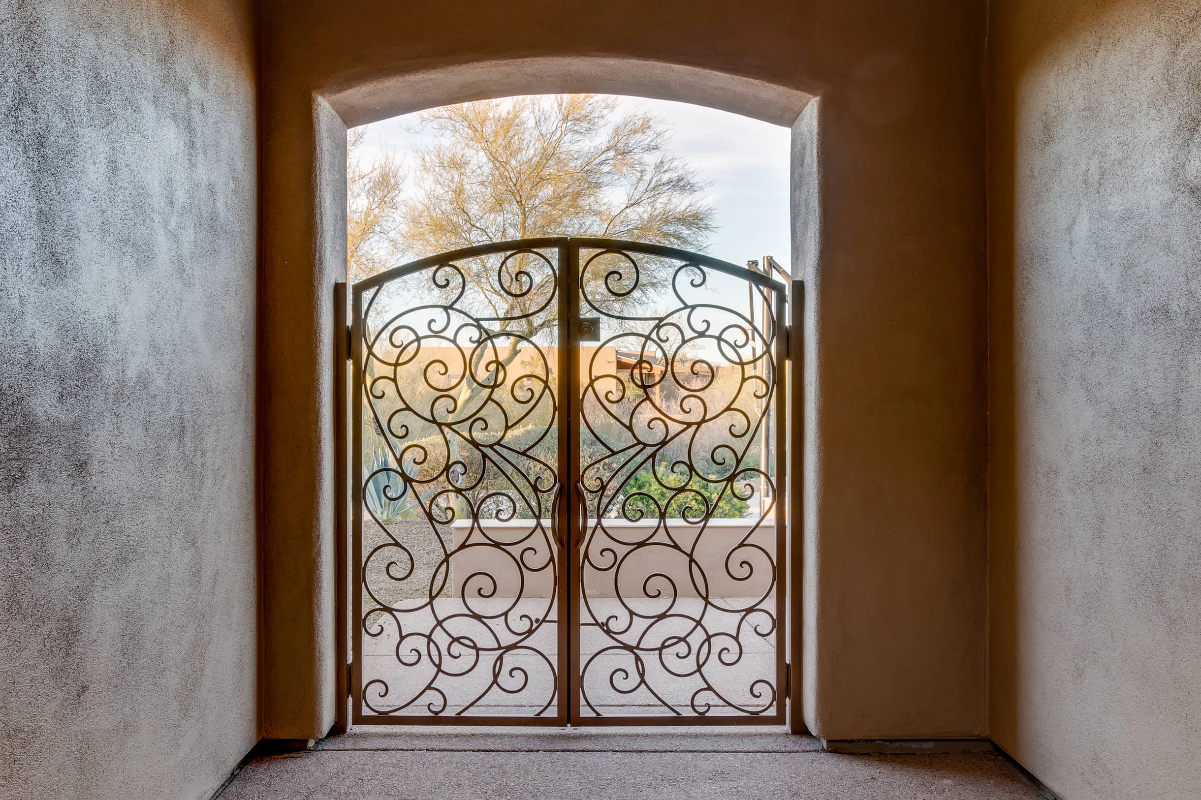 Wander Scottsdale Rocks #56