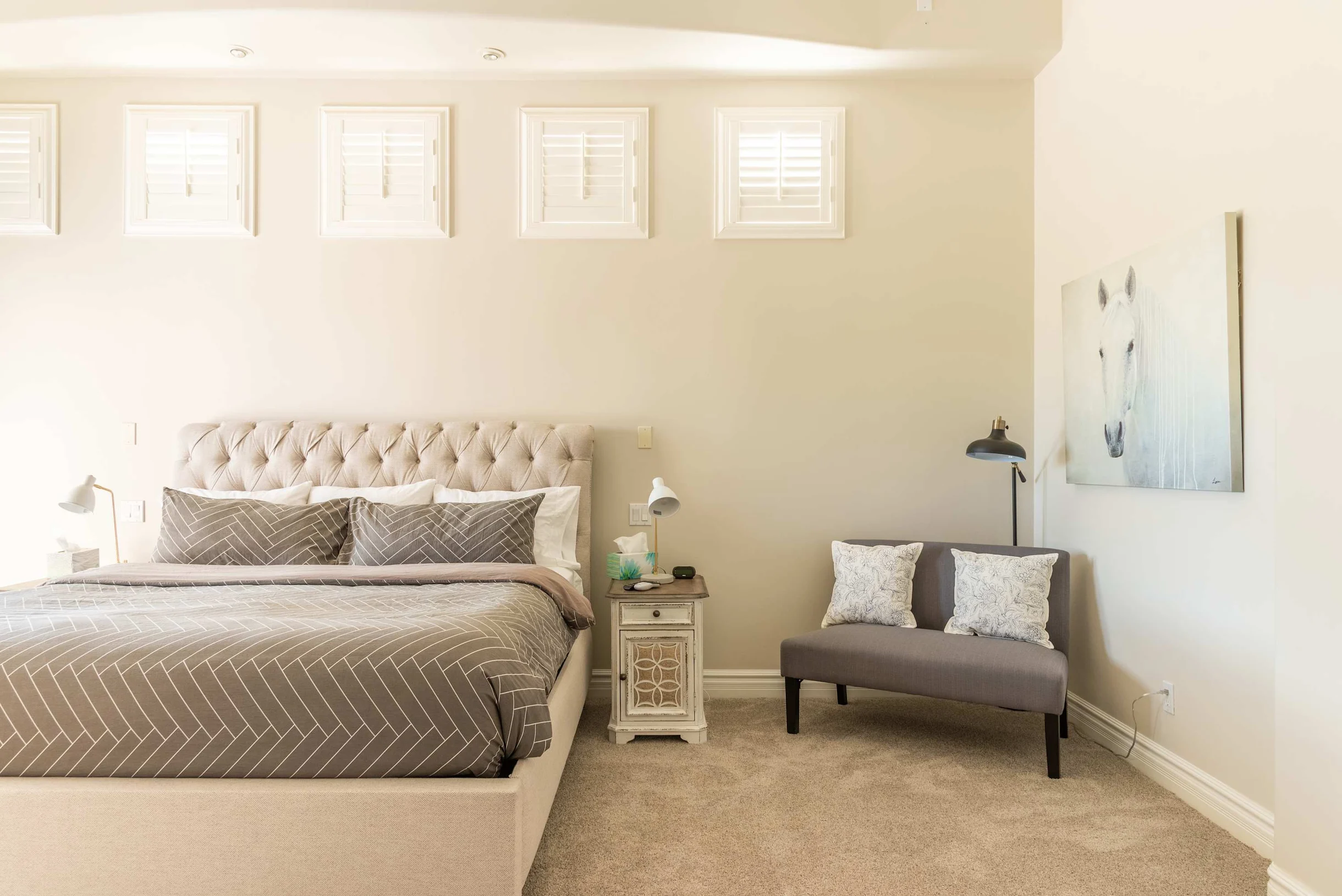 Wander Scottsdale Rocks #76