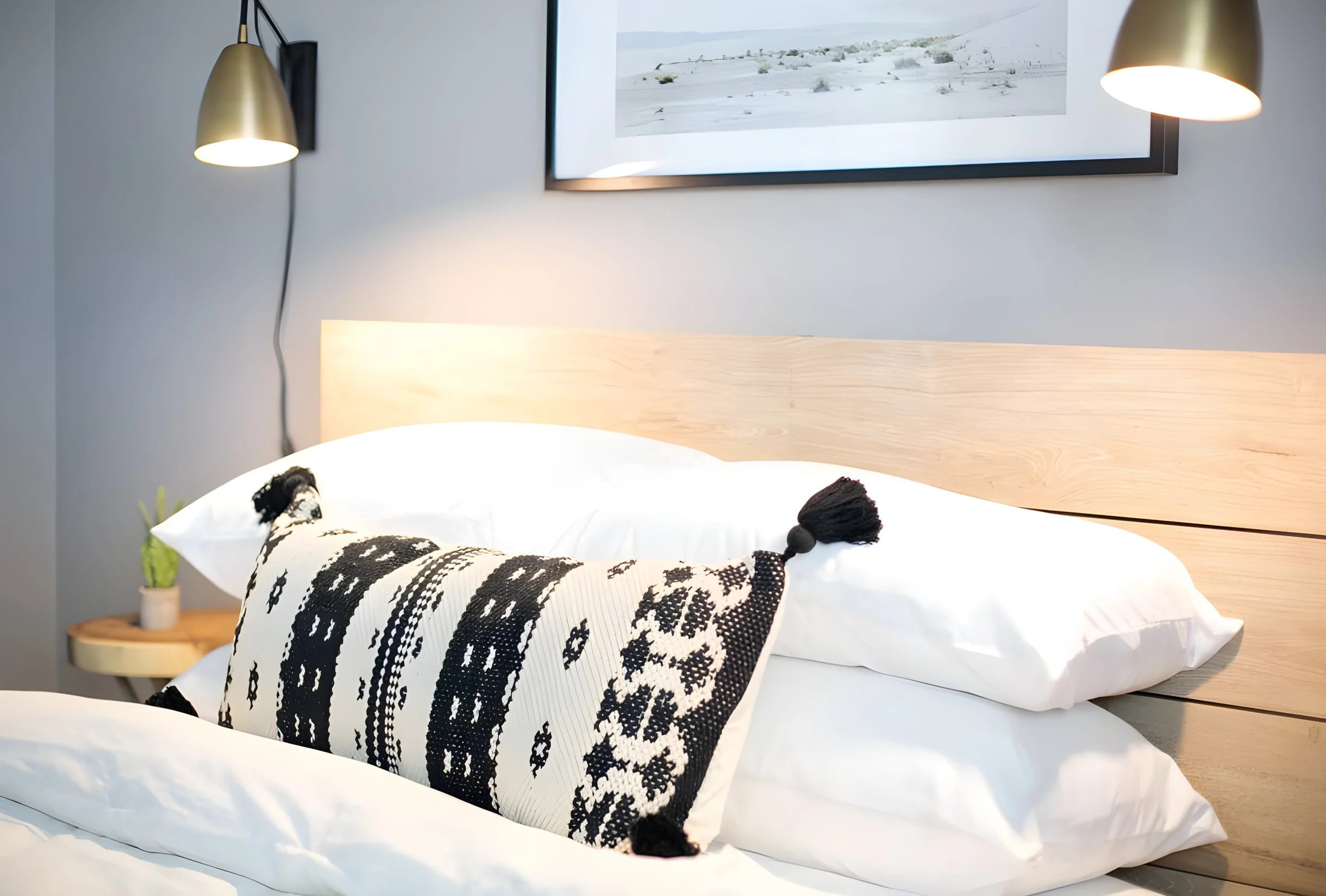 Wander Scottsdale Harmony #27