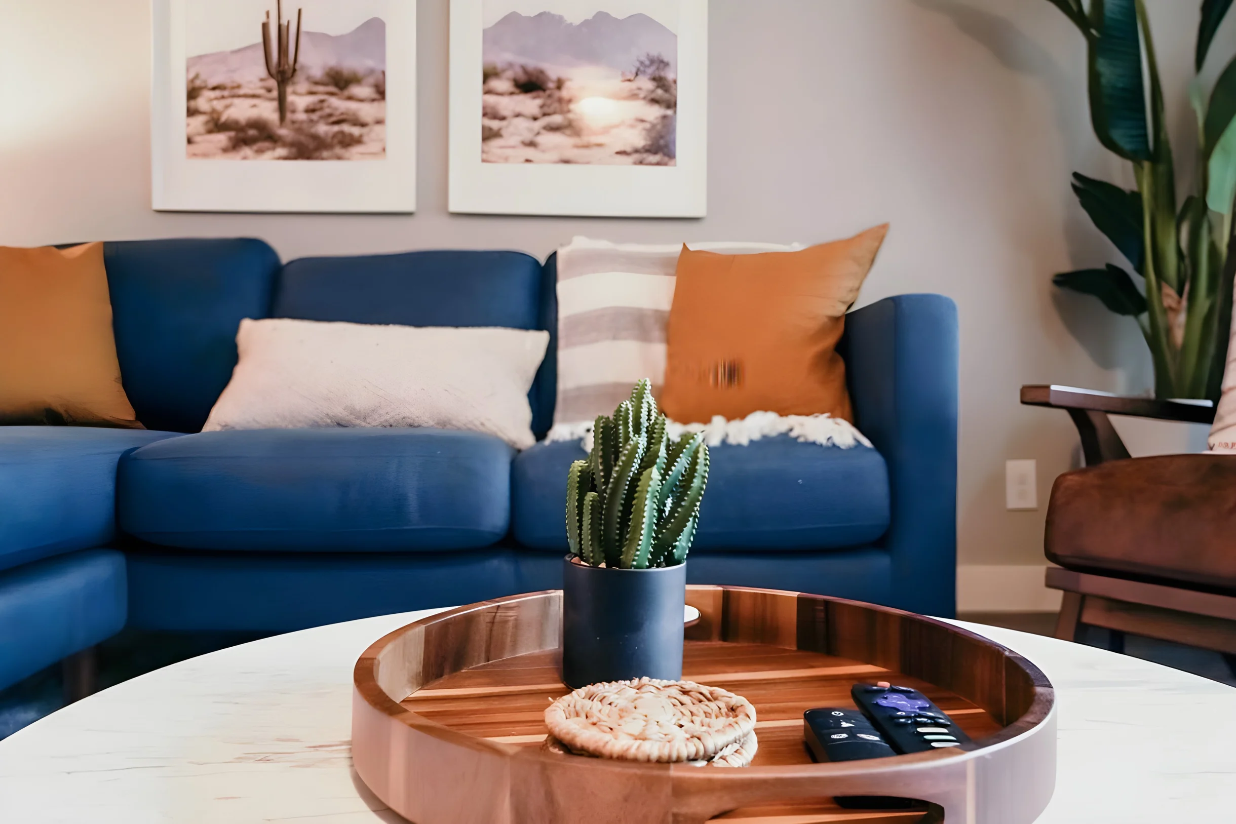 Wander Scottsdale Bloom #9