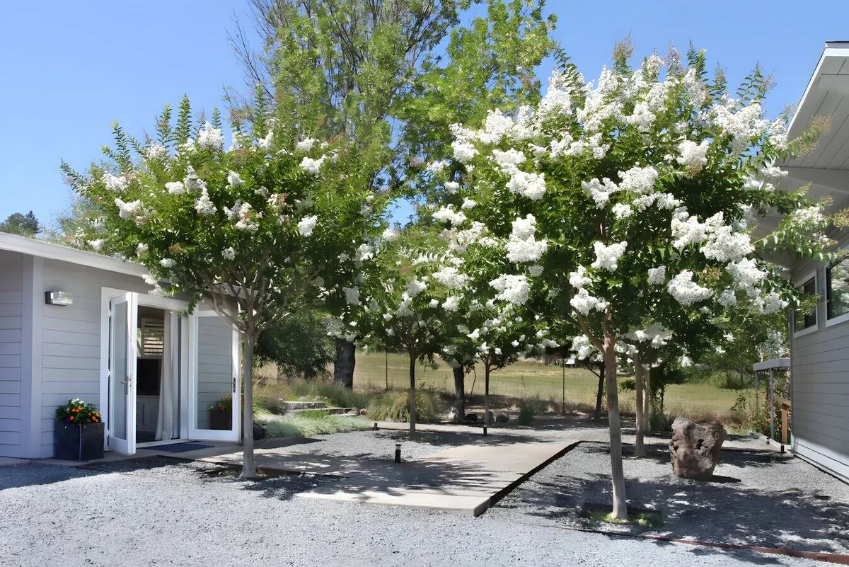 Wander Kenwood Valley