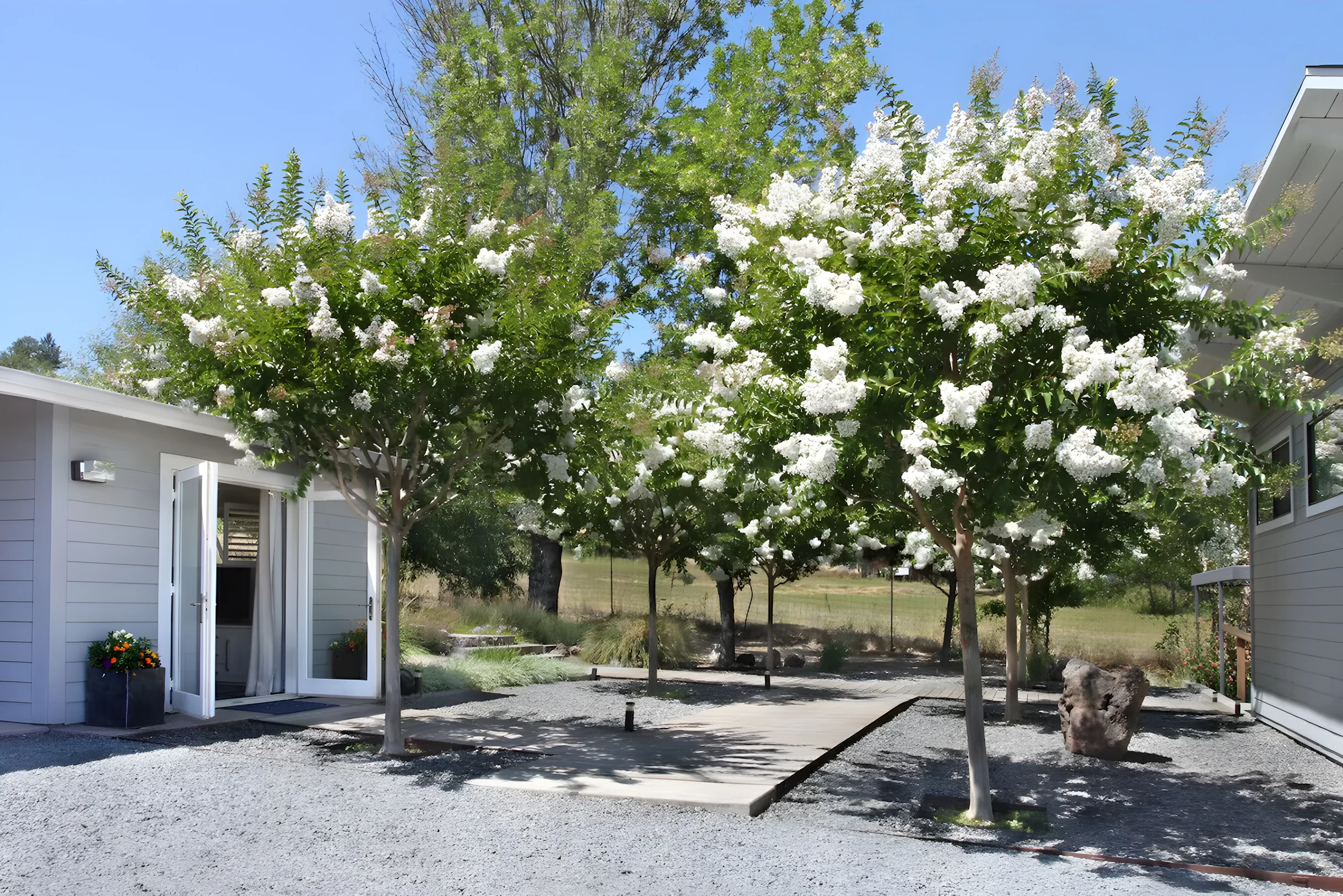 Wander Kenwood Valley #5