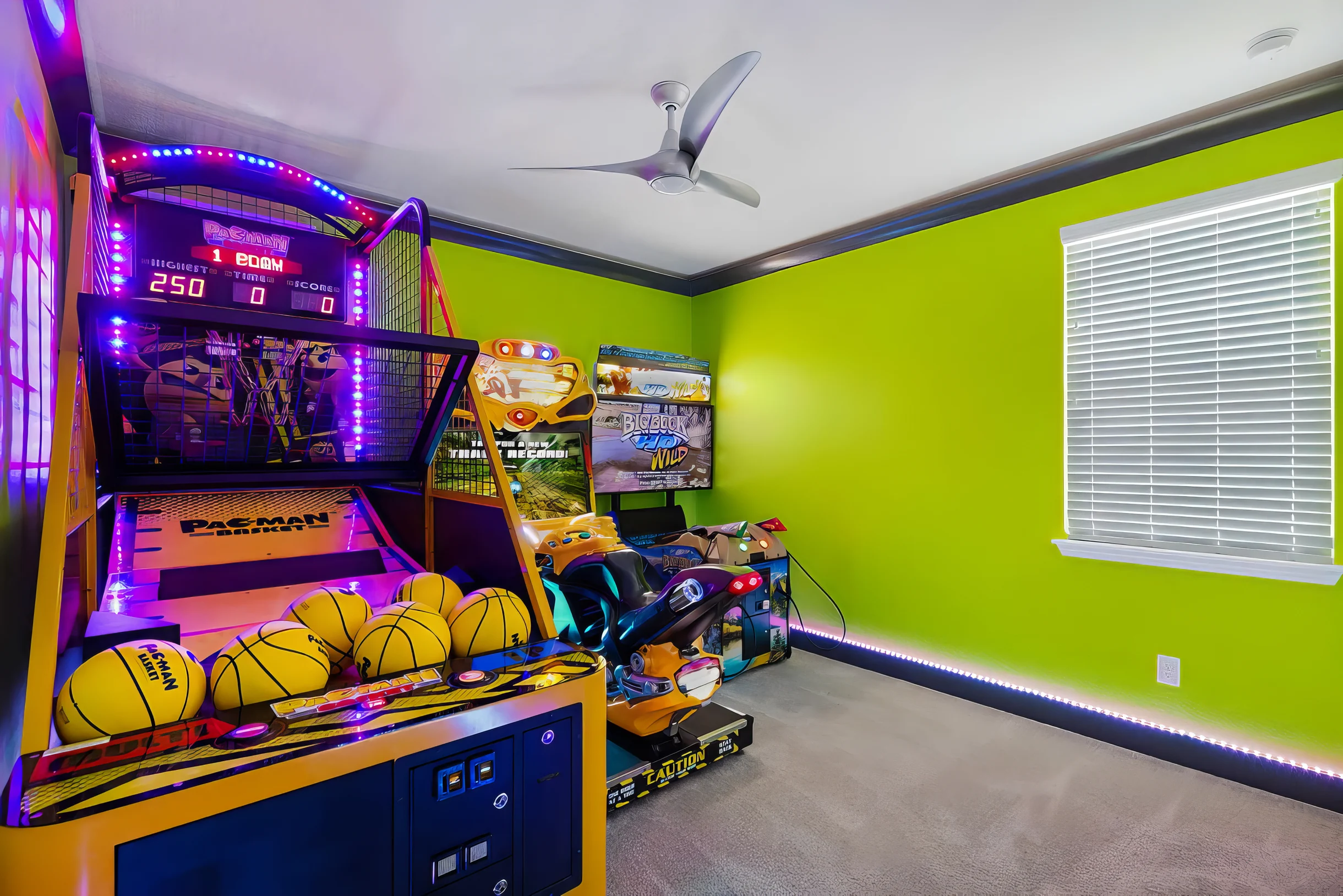 Wander Kissimmee Palm Glow #47