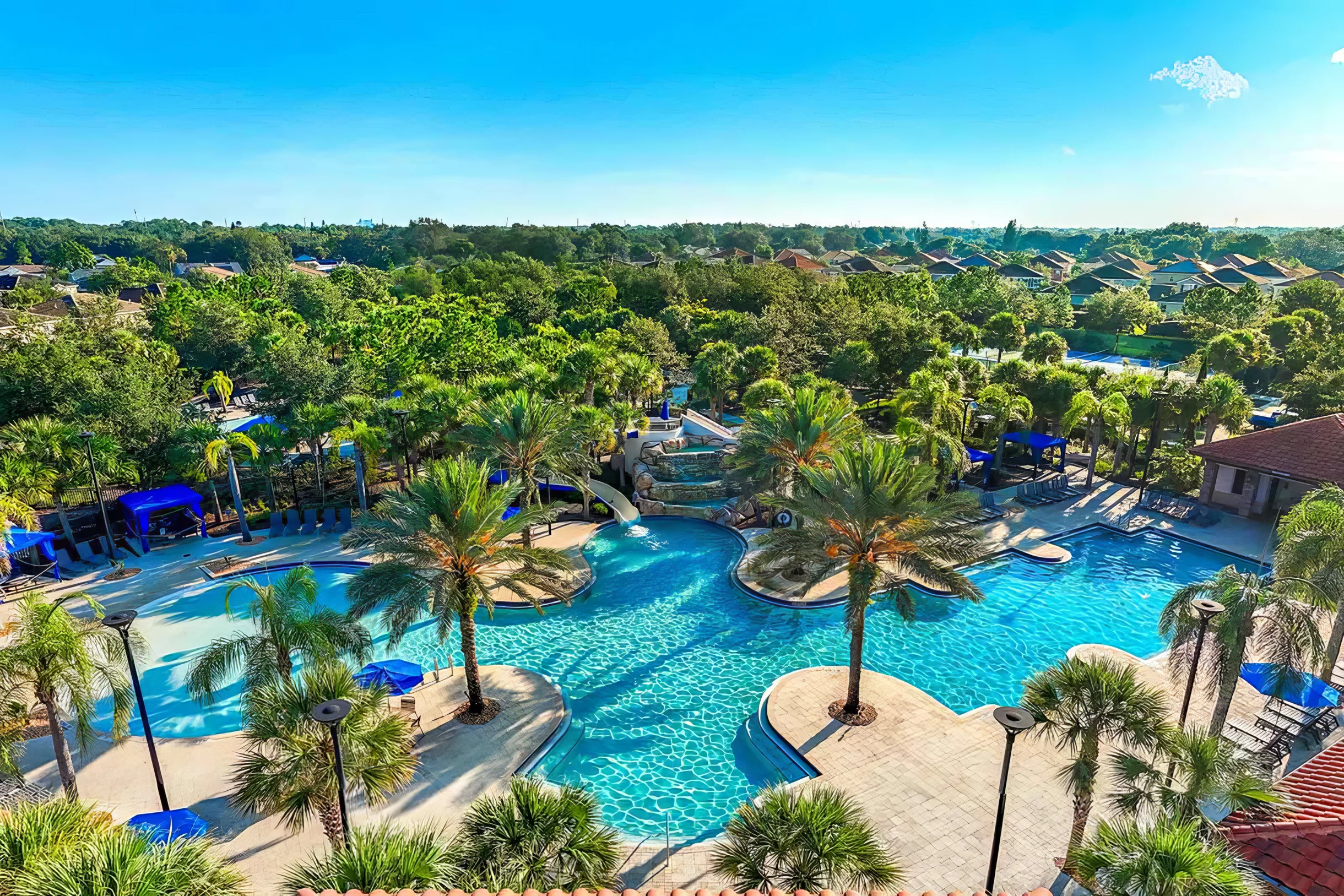 Wander Davenport Lotus #41