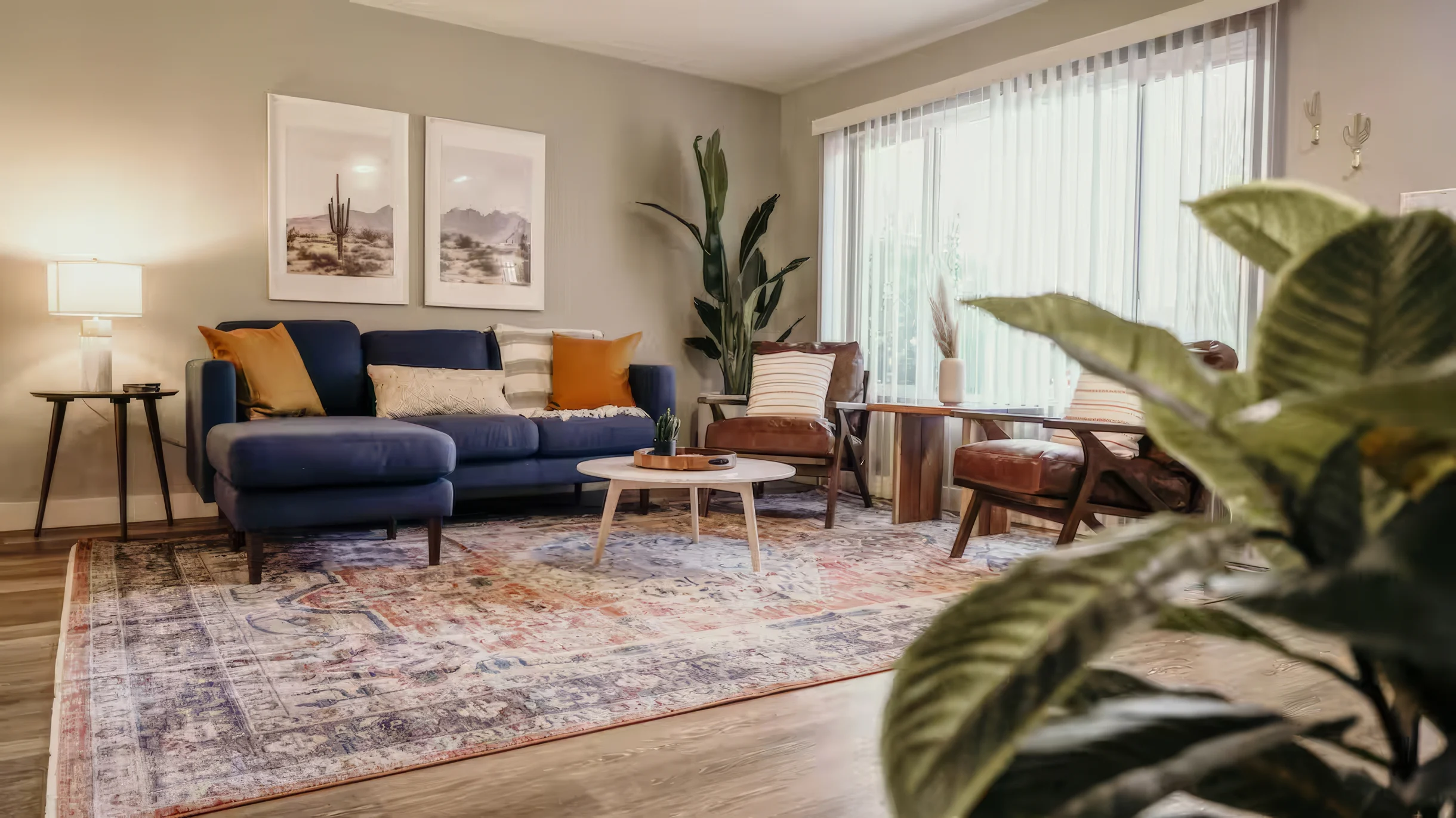 Wander Scottsdale Bloom #3