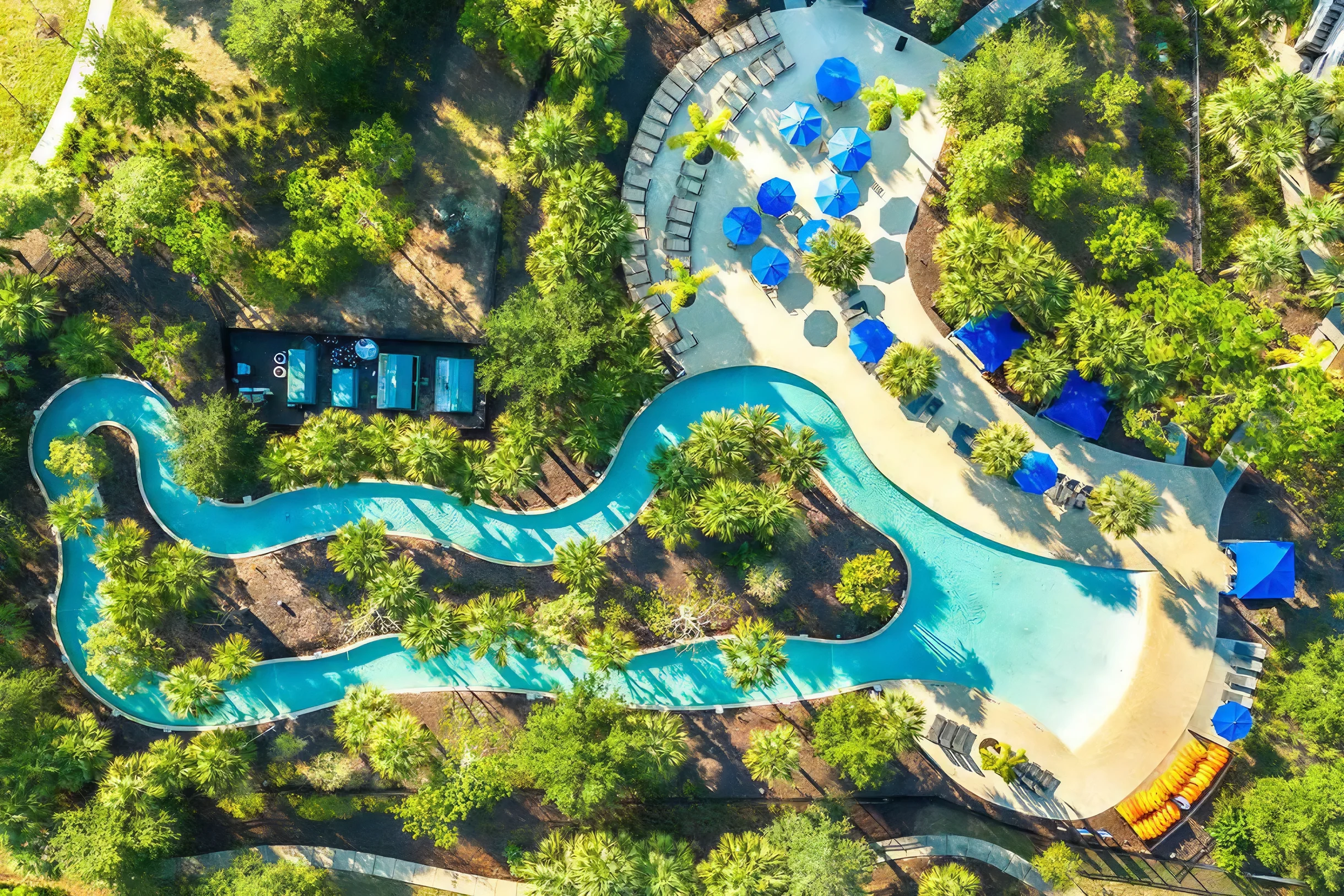 Wander Davenport Terra #53