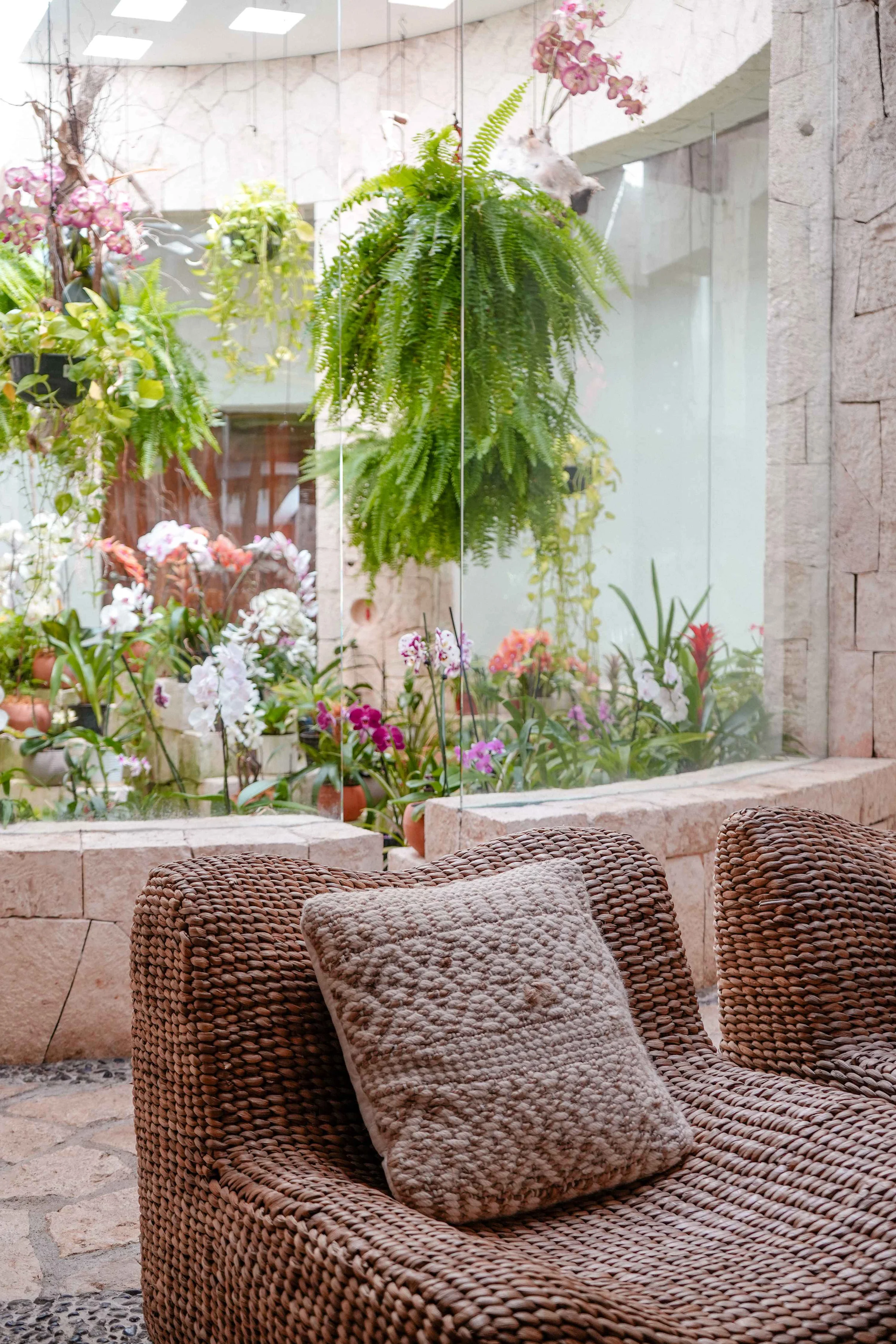 Wander Playa Del Carmen Tides #47