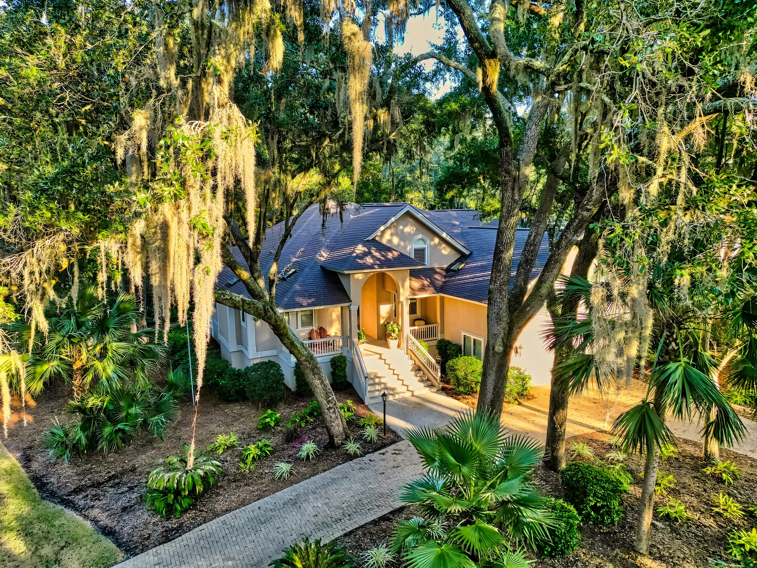Wander Hilton Head Dolphins
