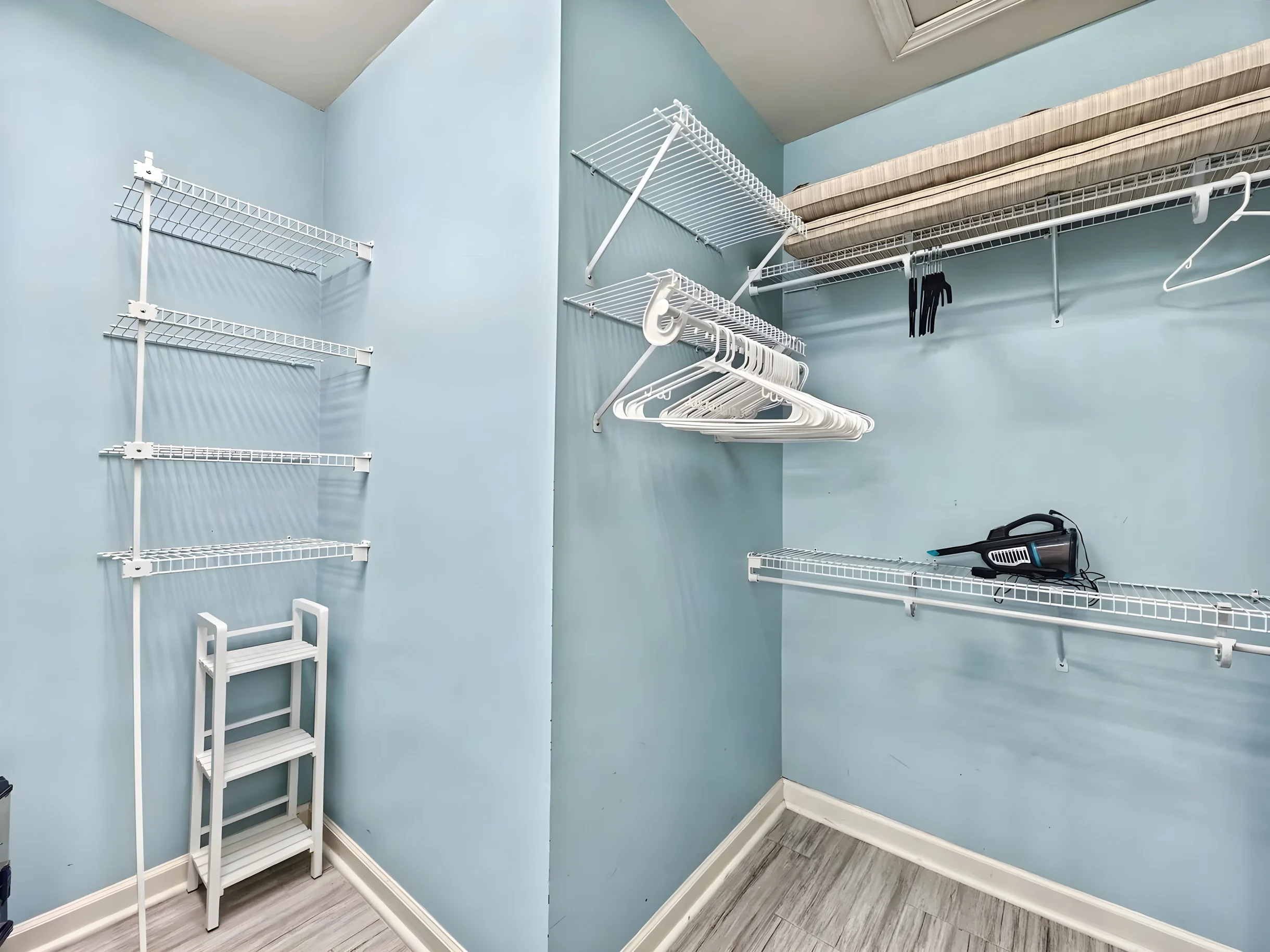 Wander Hilton Head Dolphins #90