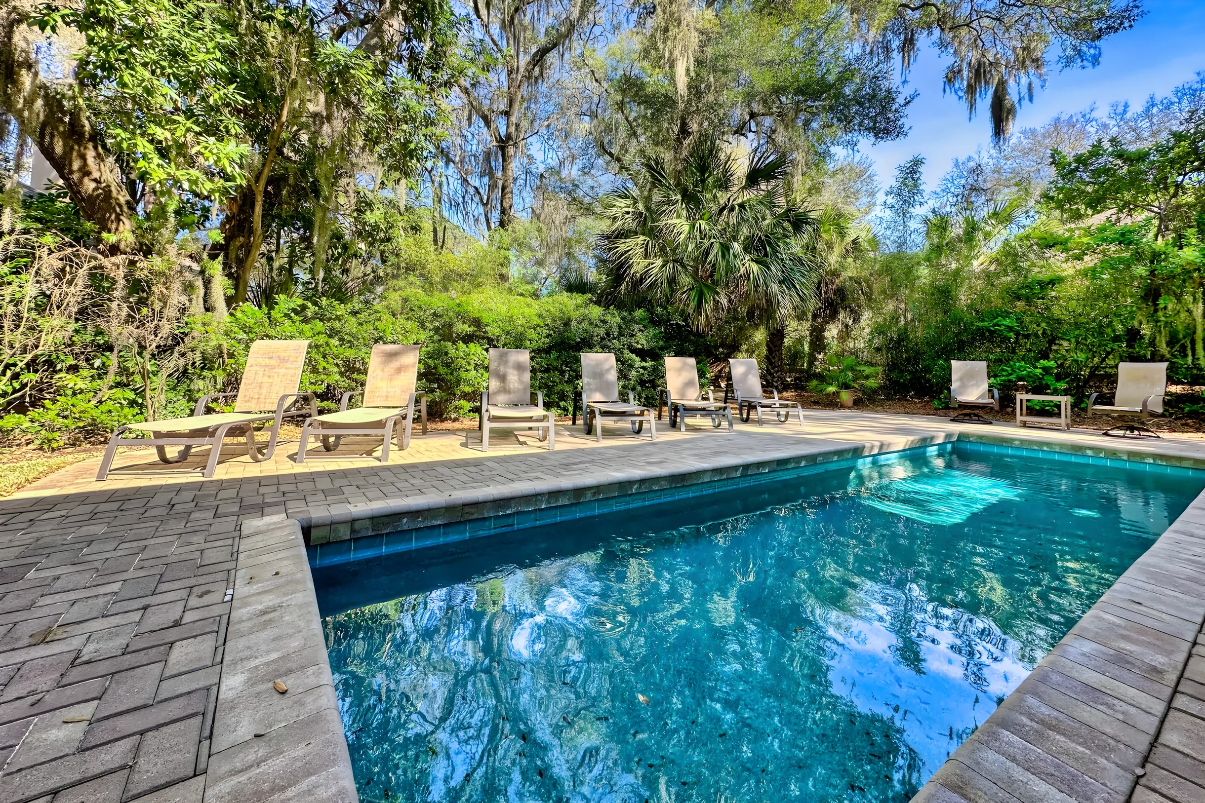 Wander Hilton Head Dolphins #2