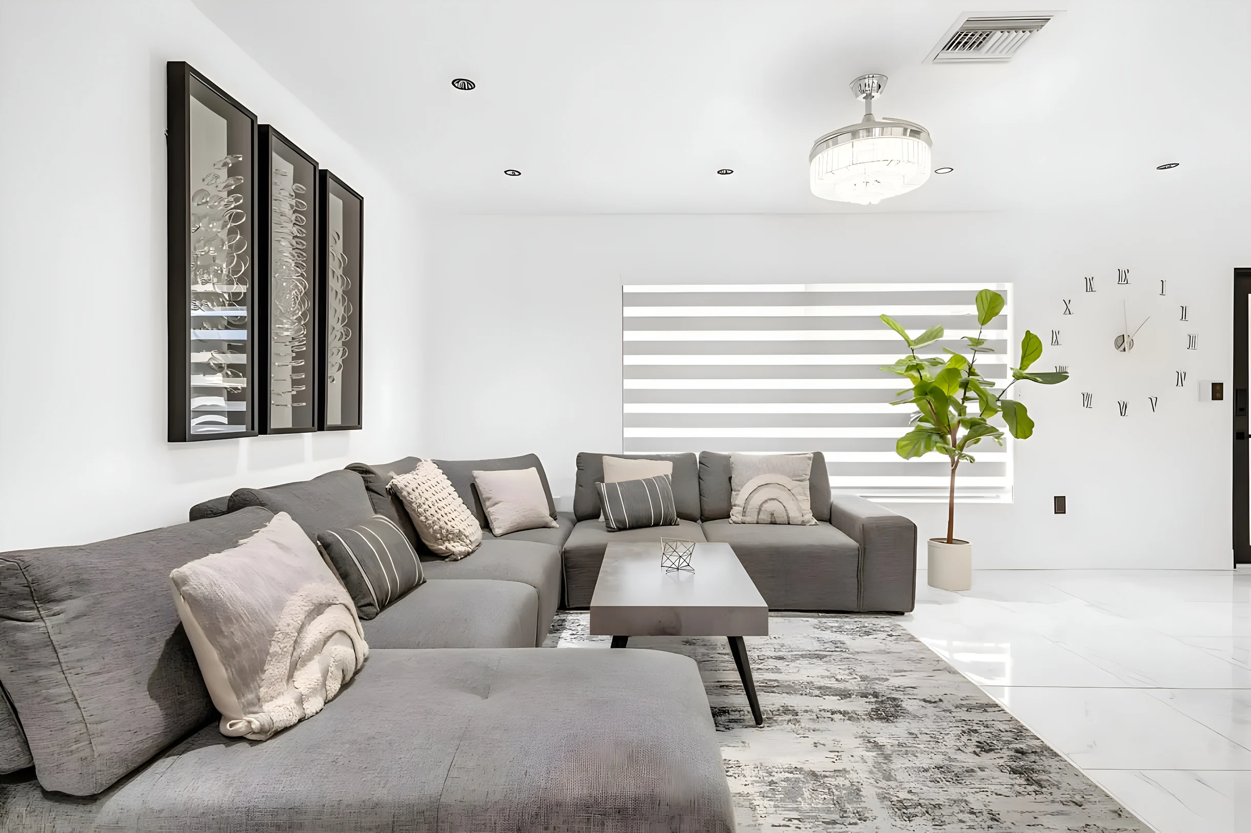 Wander Miami Paradise #3